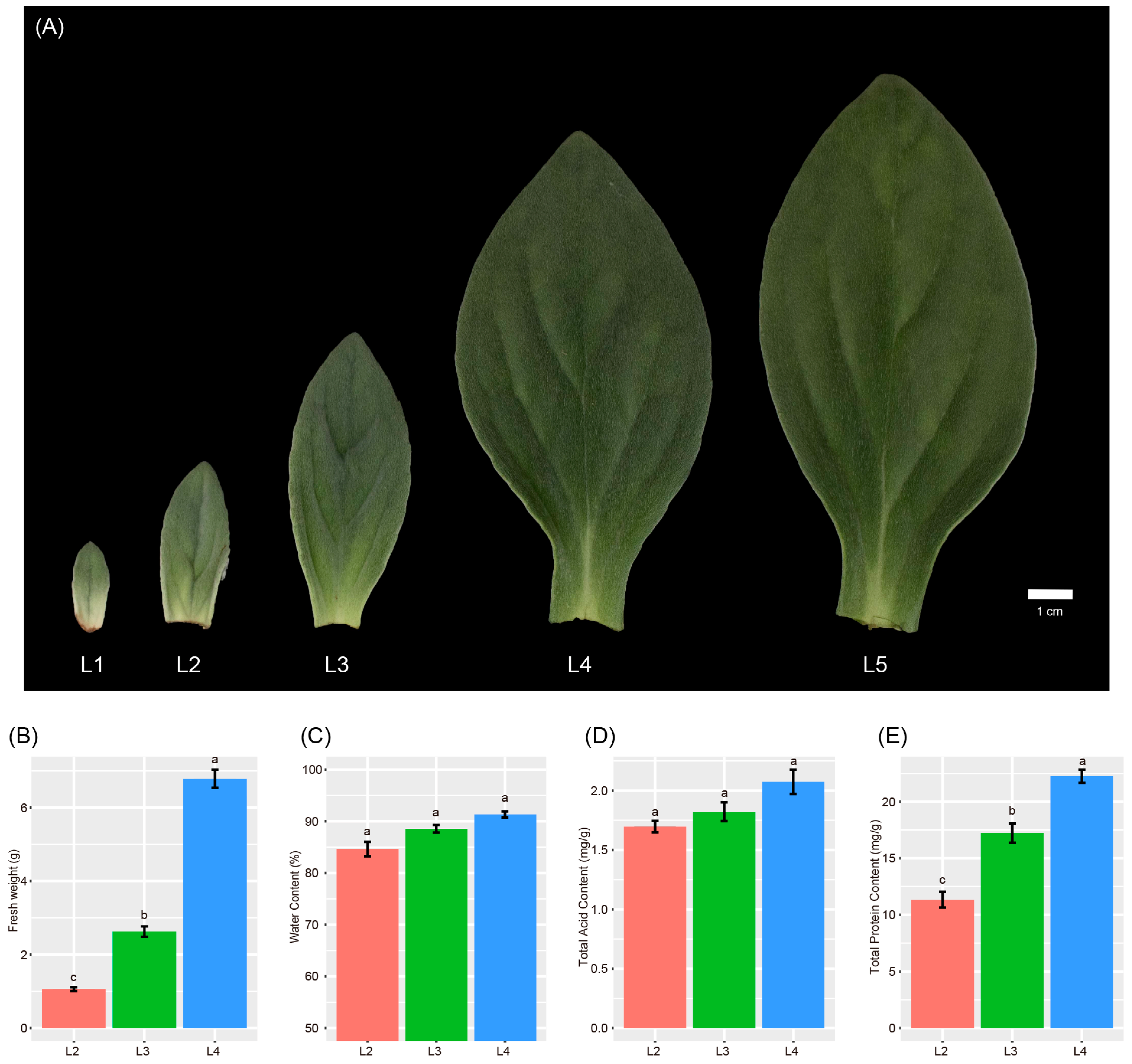 Agronomy 13 02157 g001