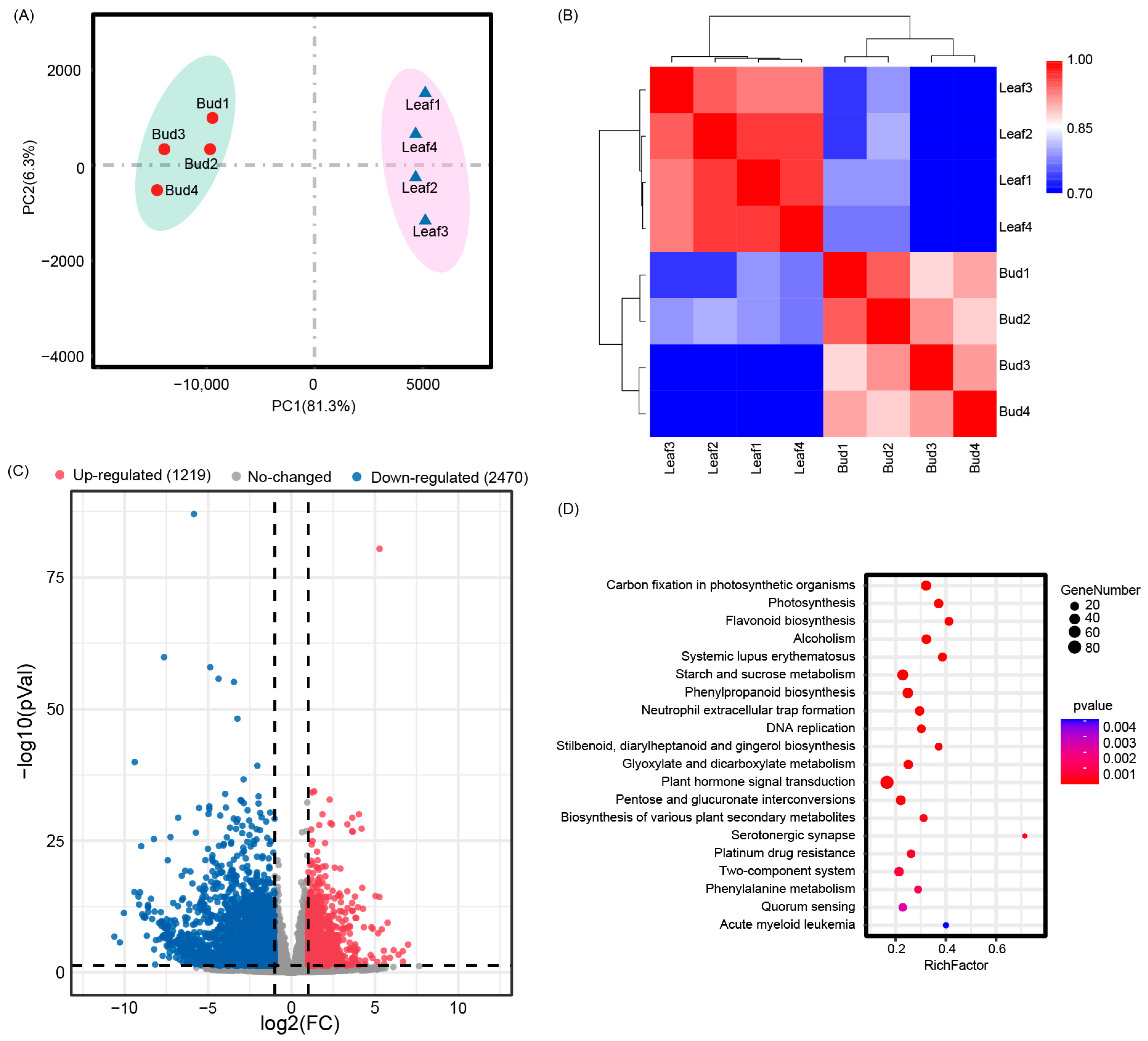Agronomy 13 02157 g003