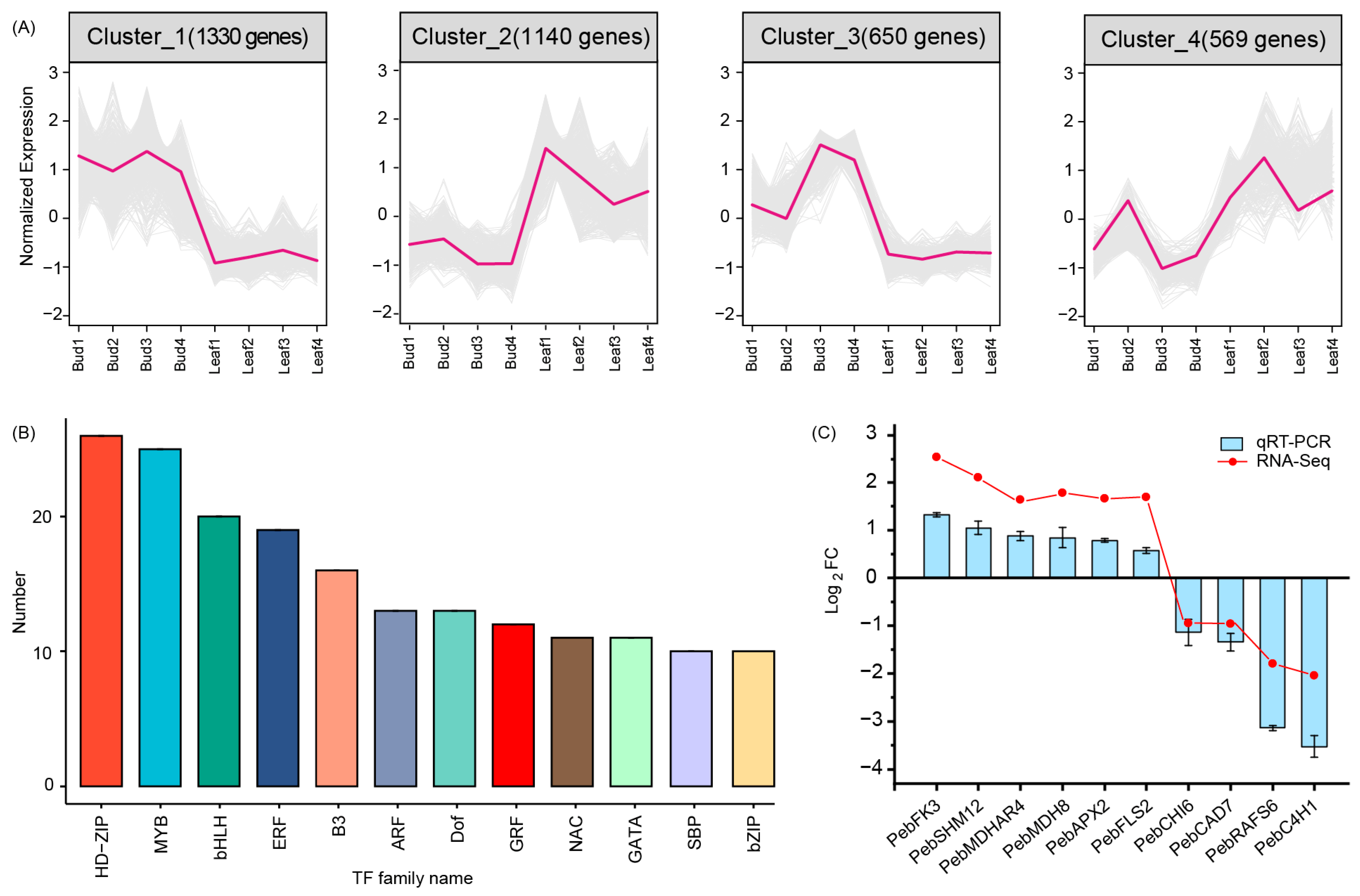 Agronomy 13 02157 g004