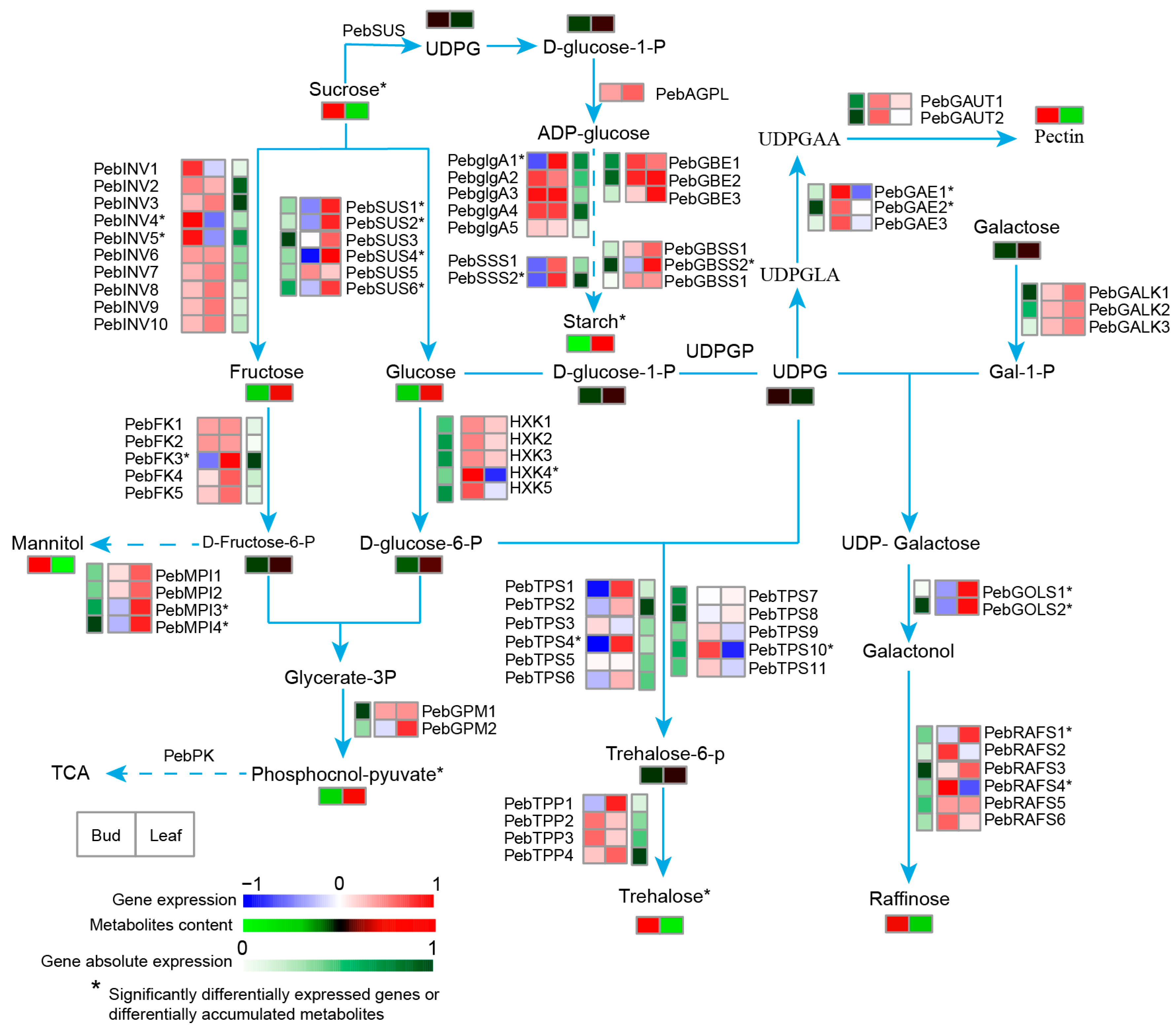 Agronomy 13 02157 g005