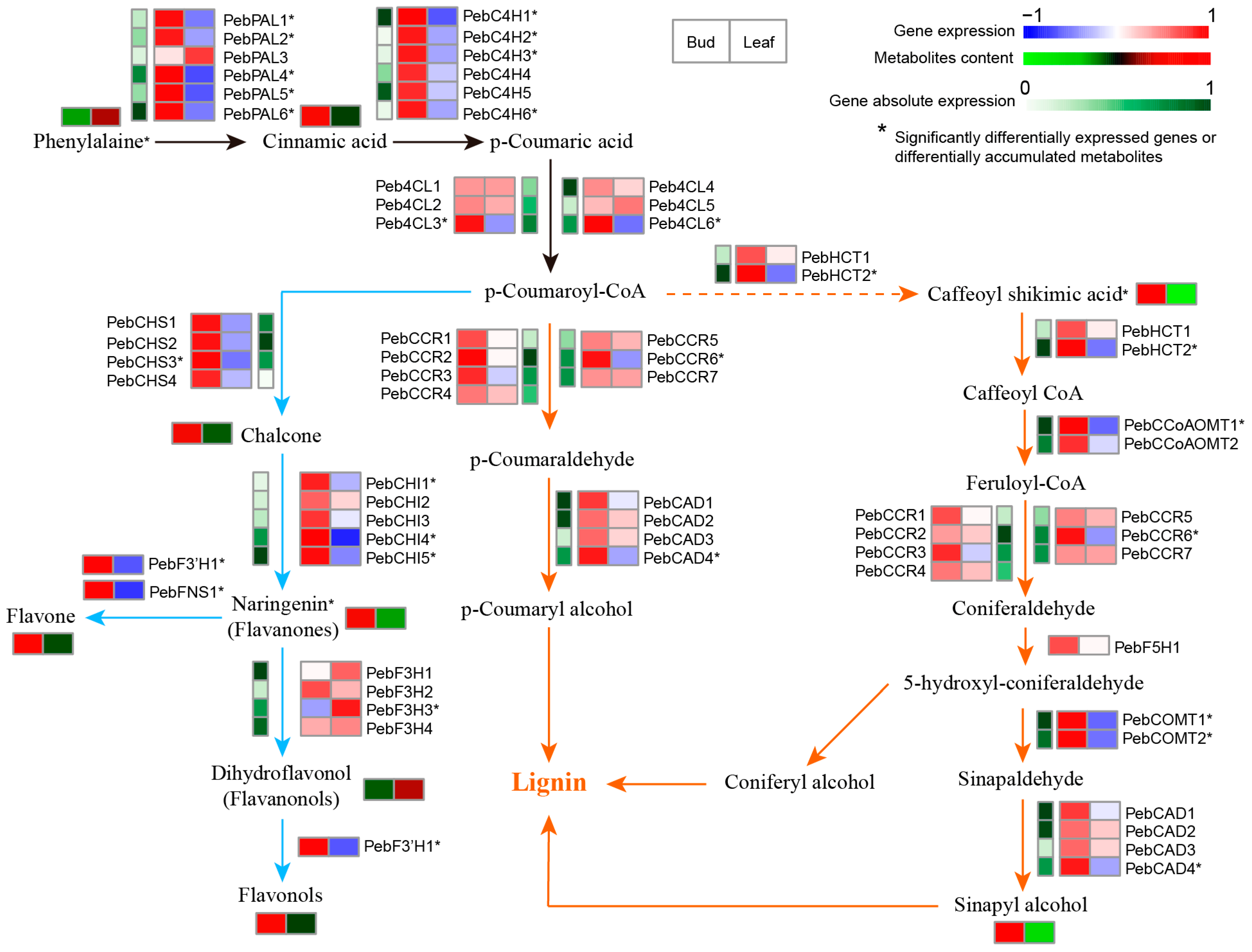 Agronomy 13 02157 g007