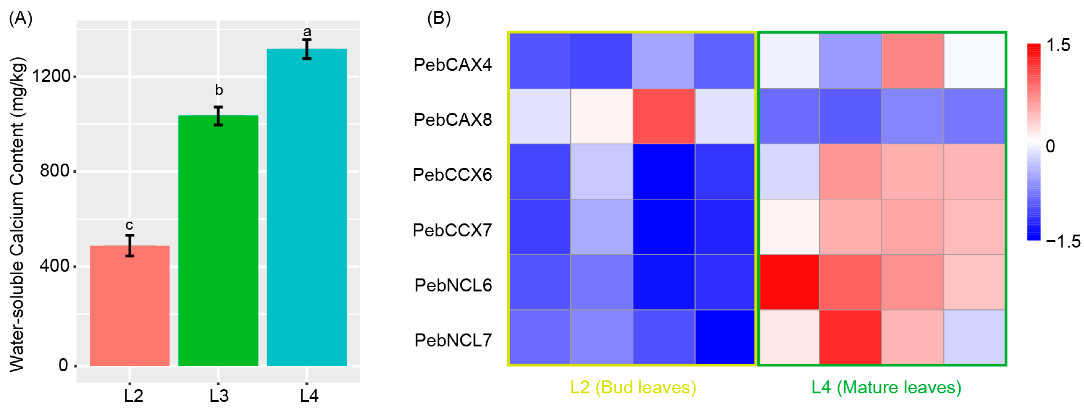 Agronomy 13 02157 g008
