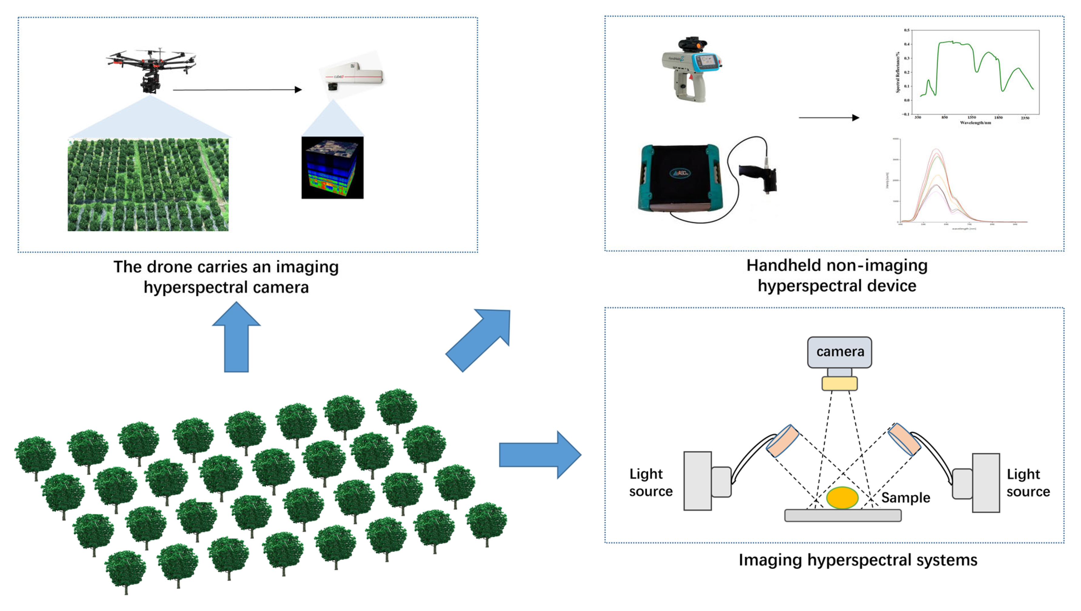 Agronomy 13 02163 g002