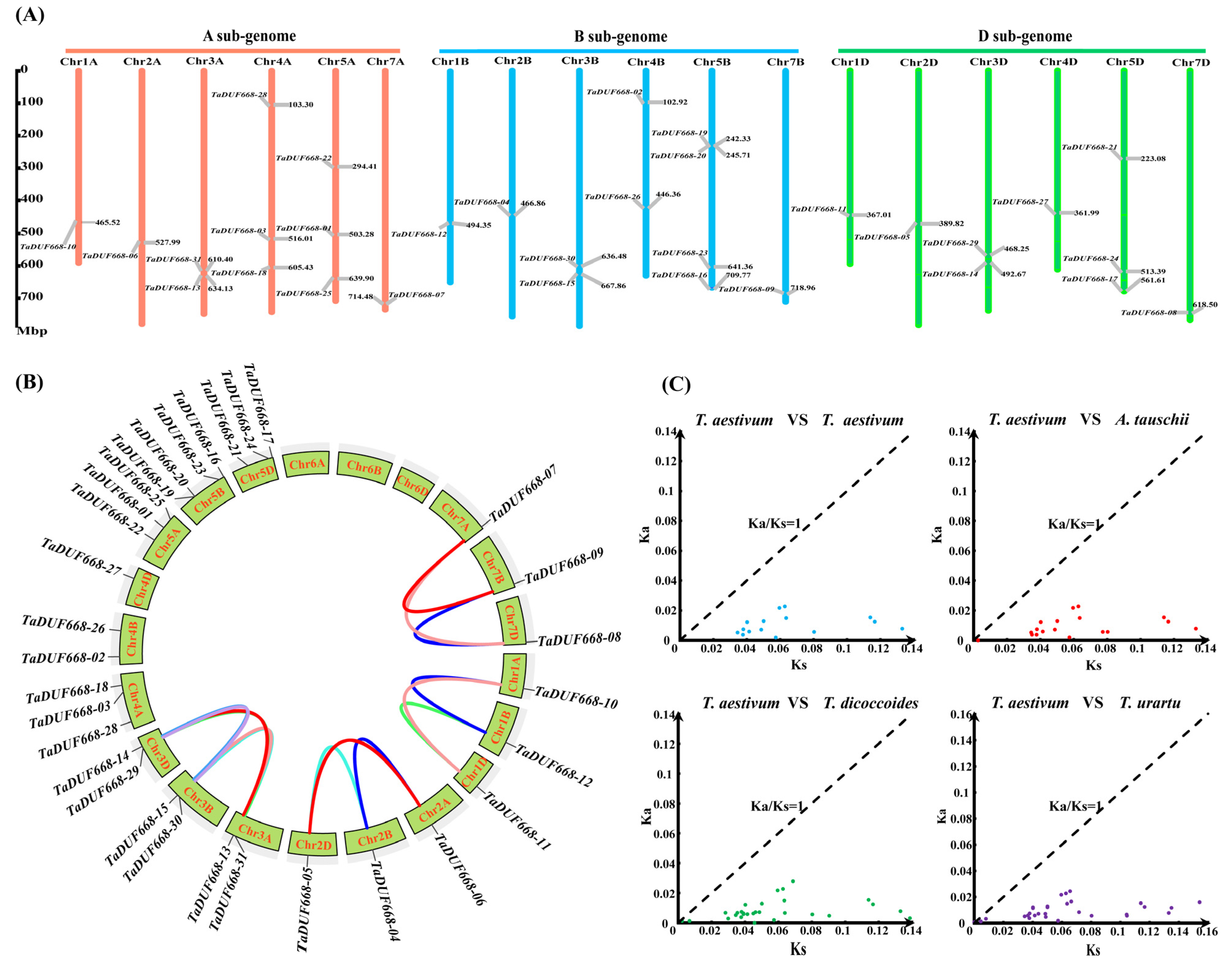 Agronomy 13 02178 g002