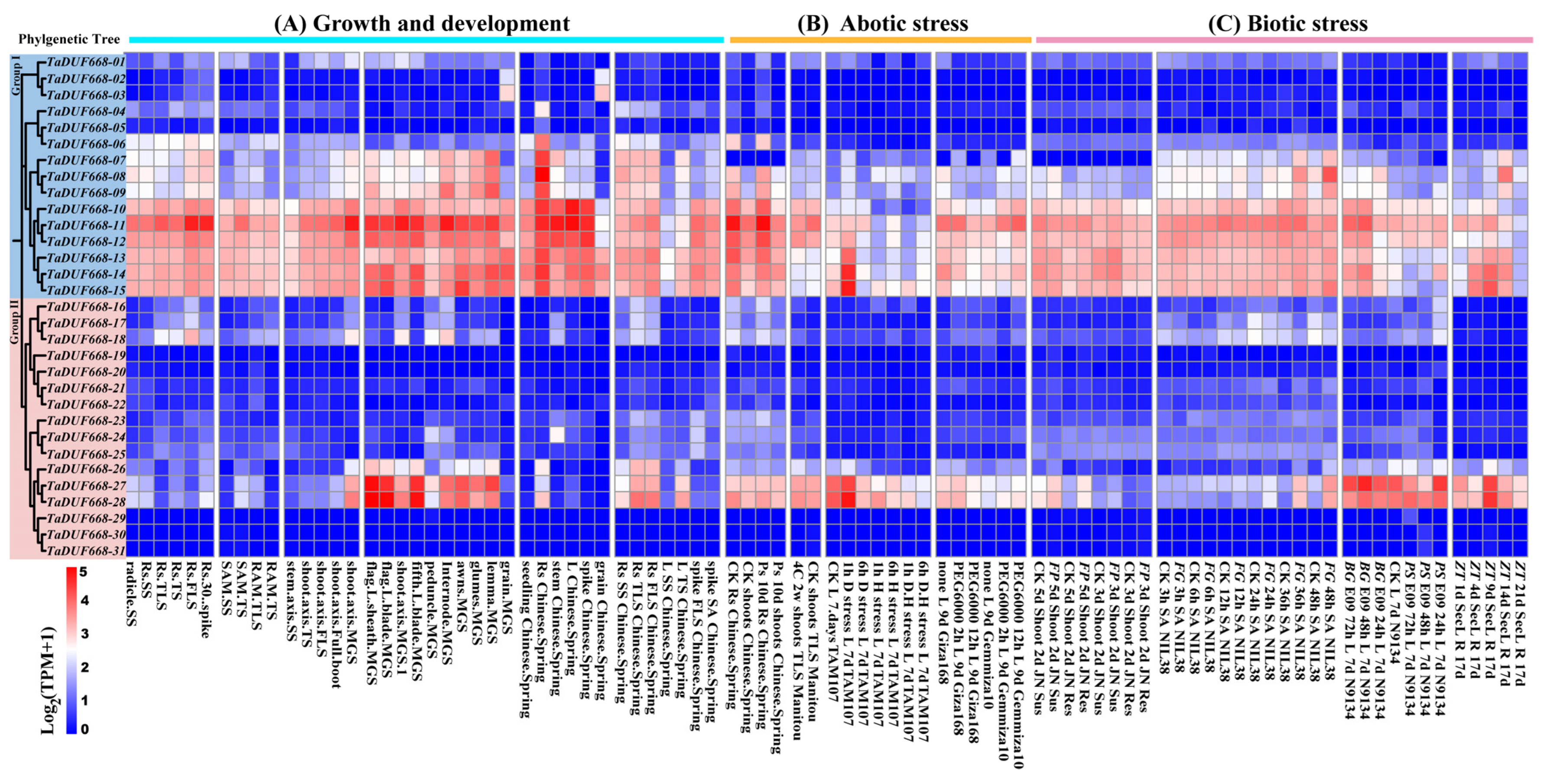 Agronomy 13 02178 g006