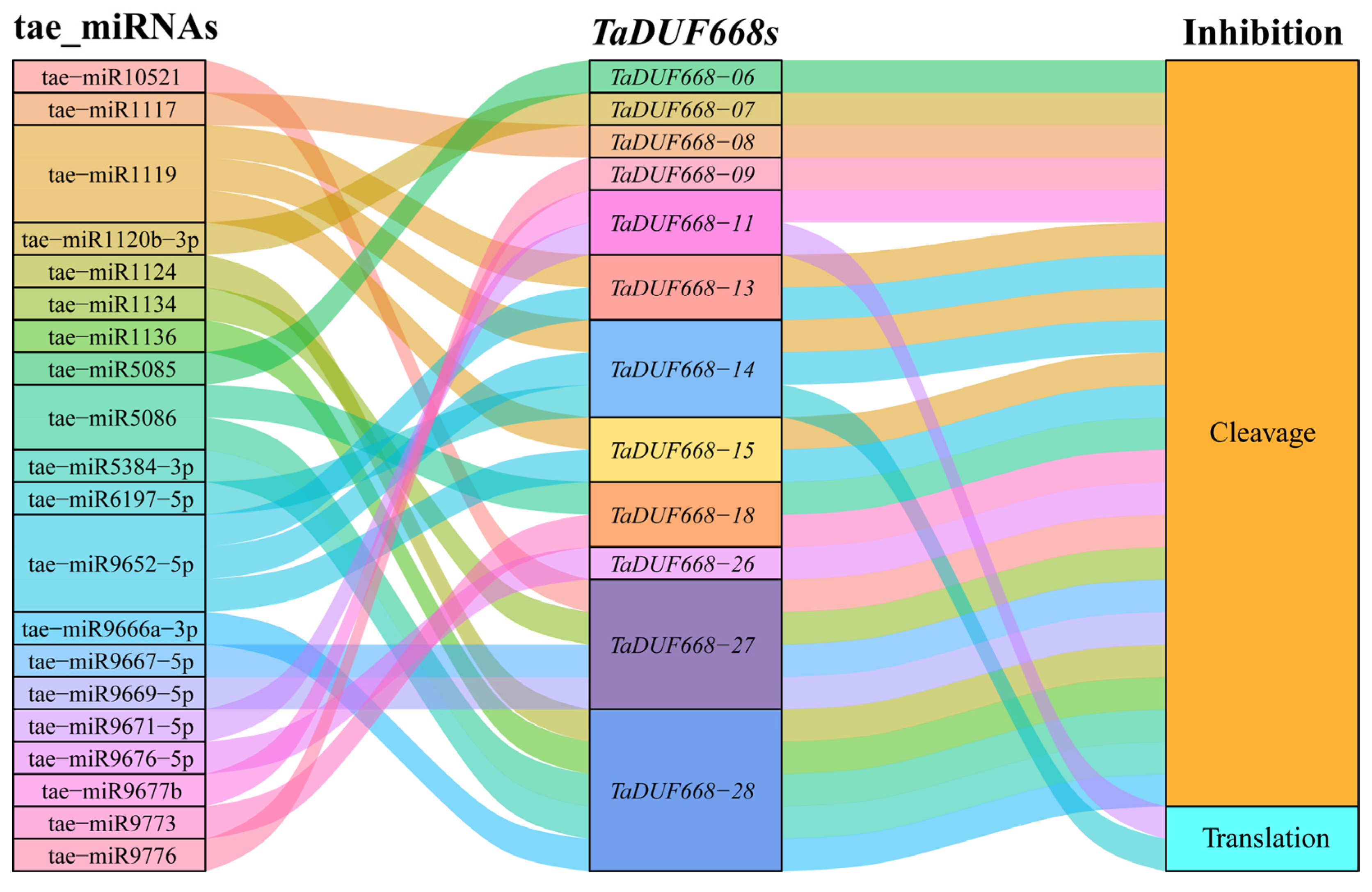 Agronomy 13 02178 g007