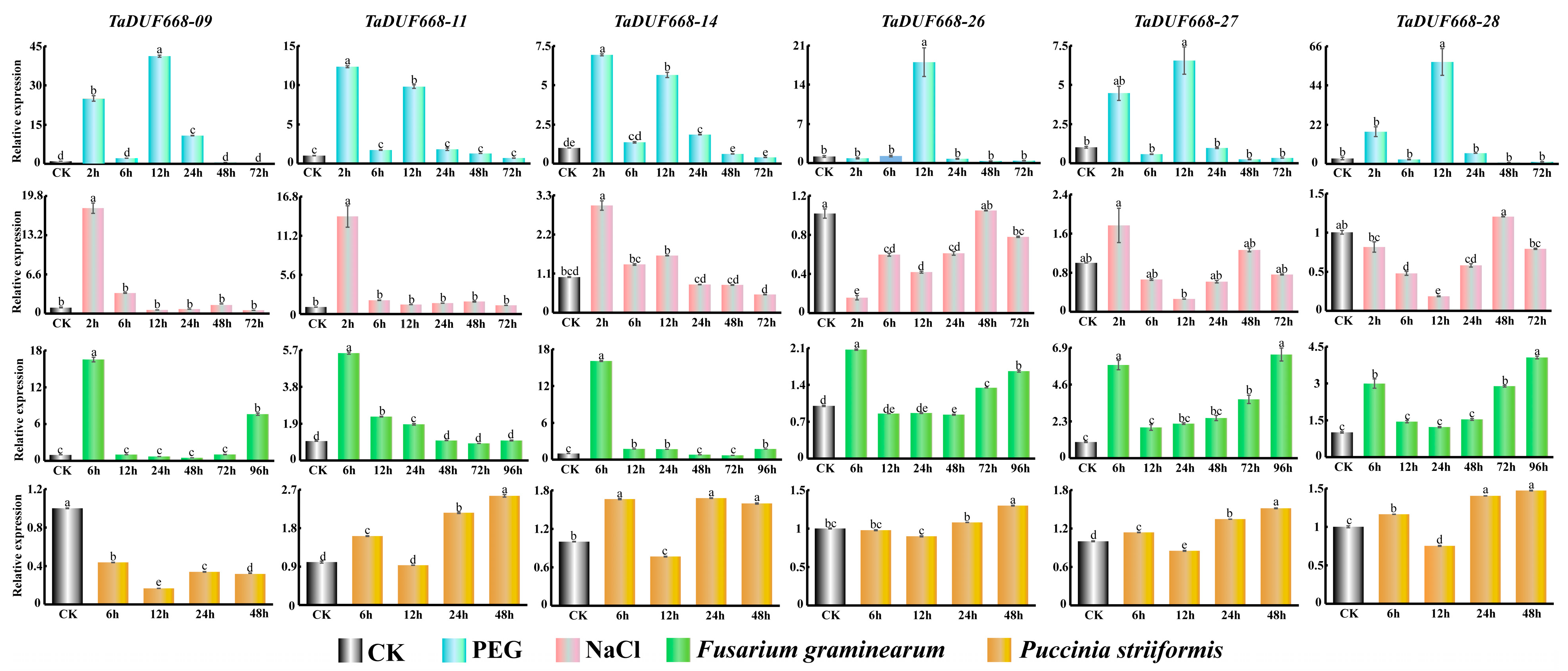 Agronomy 13 02178 g008
