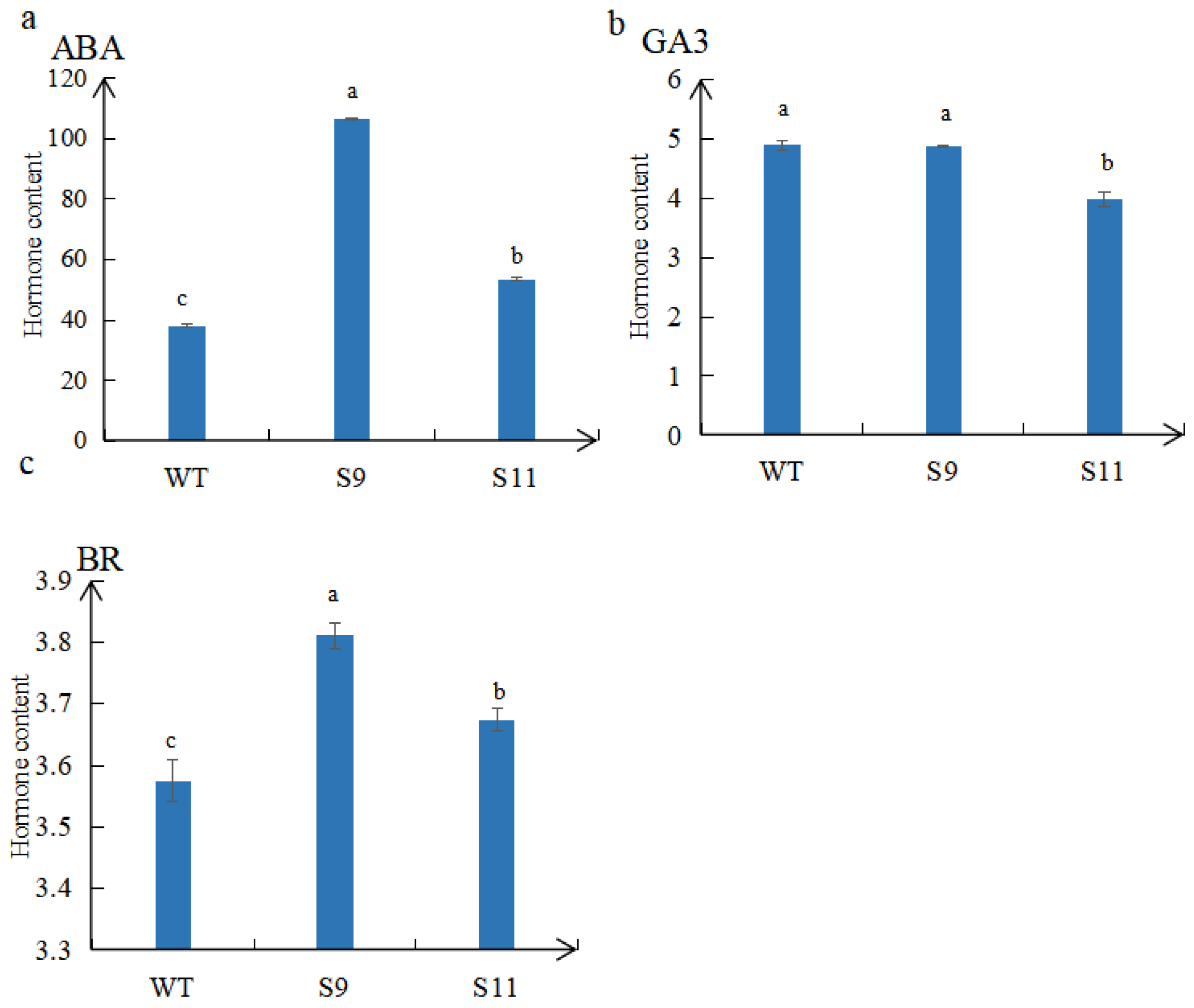 Agronomy 13 02184 g006