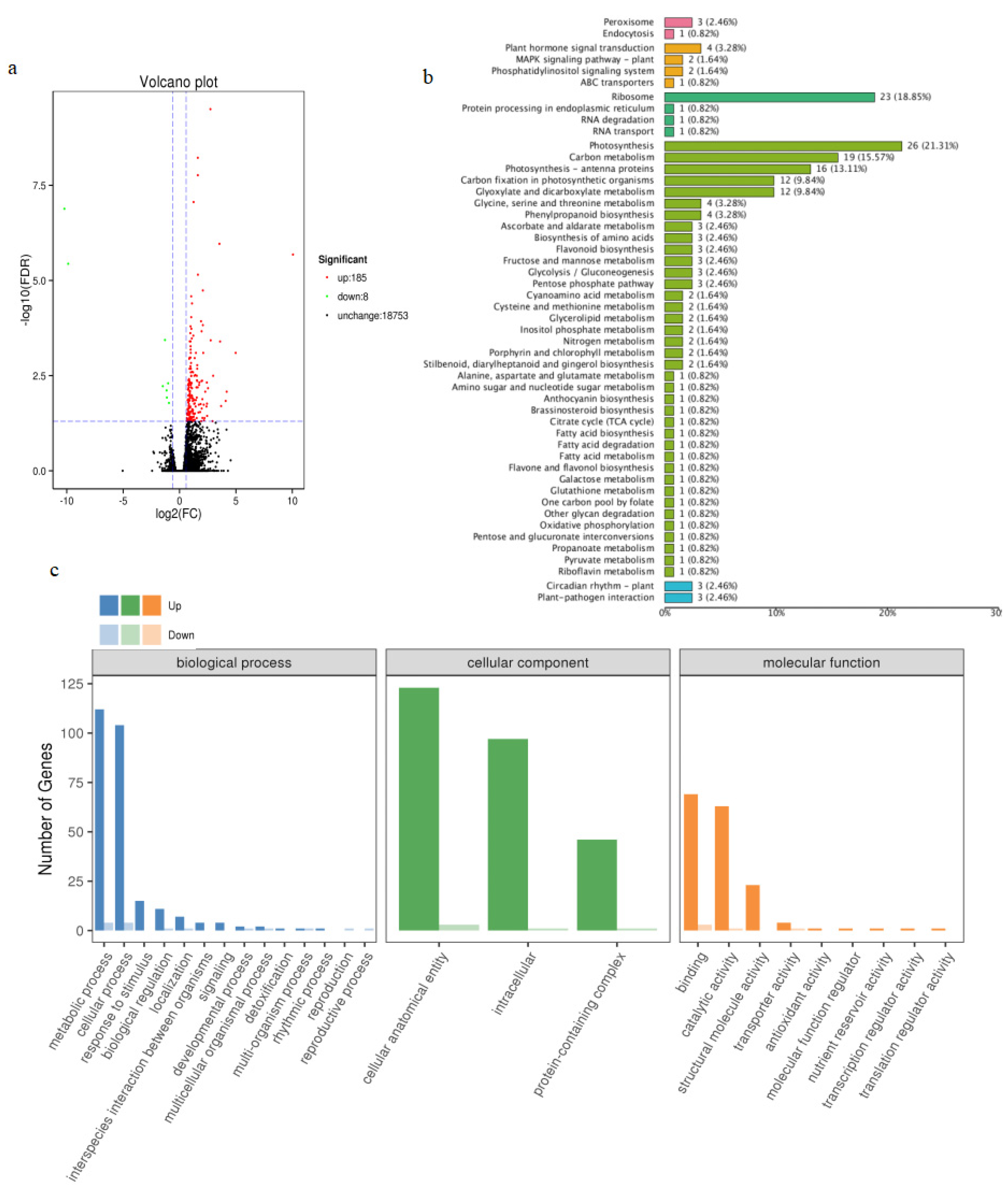 Agronomy 13 02184 g009