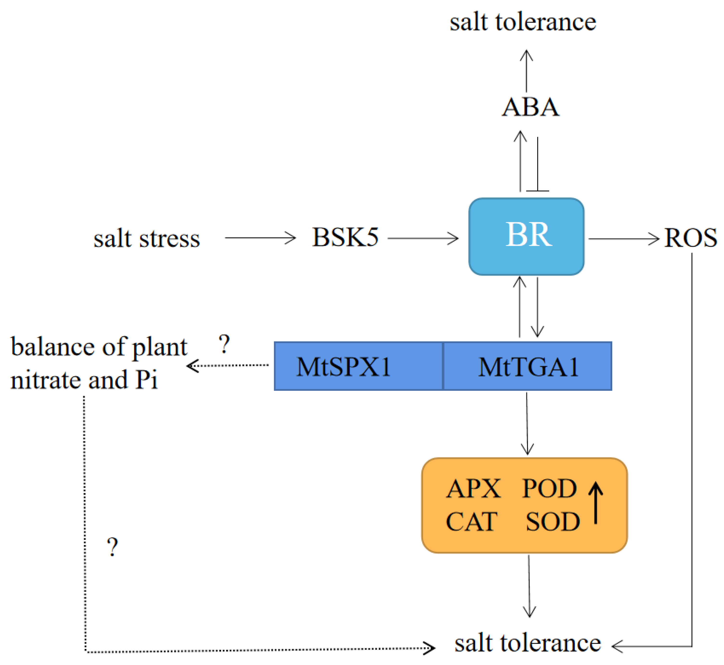 Agronomy 13 02184 g011