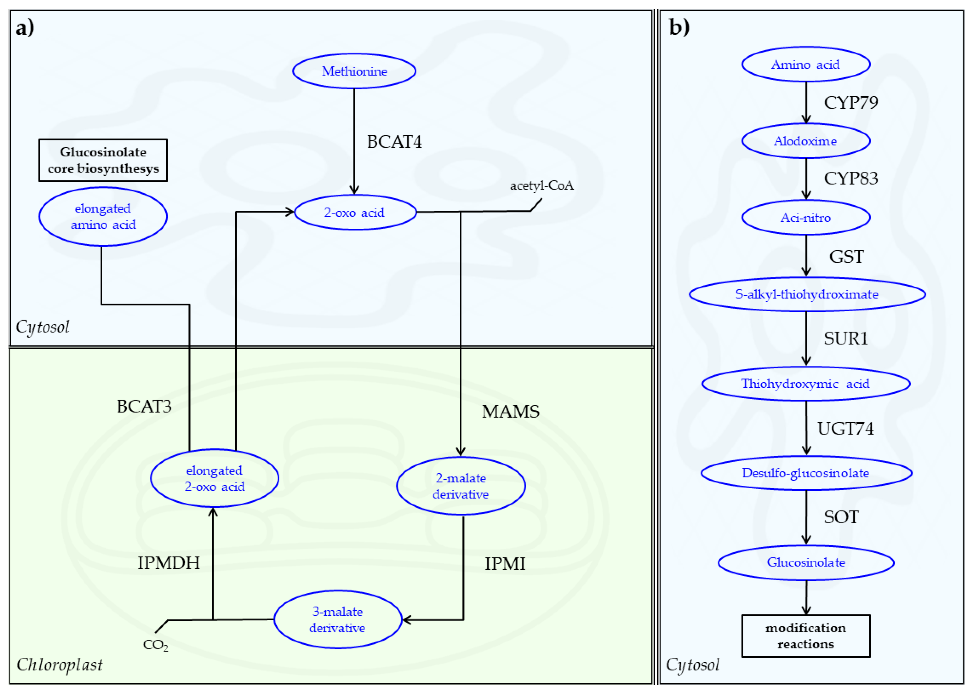 Agronomy 13 02187 g003