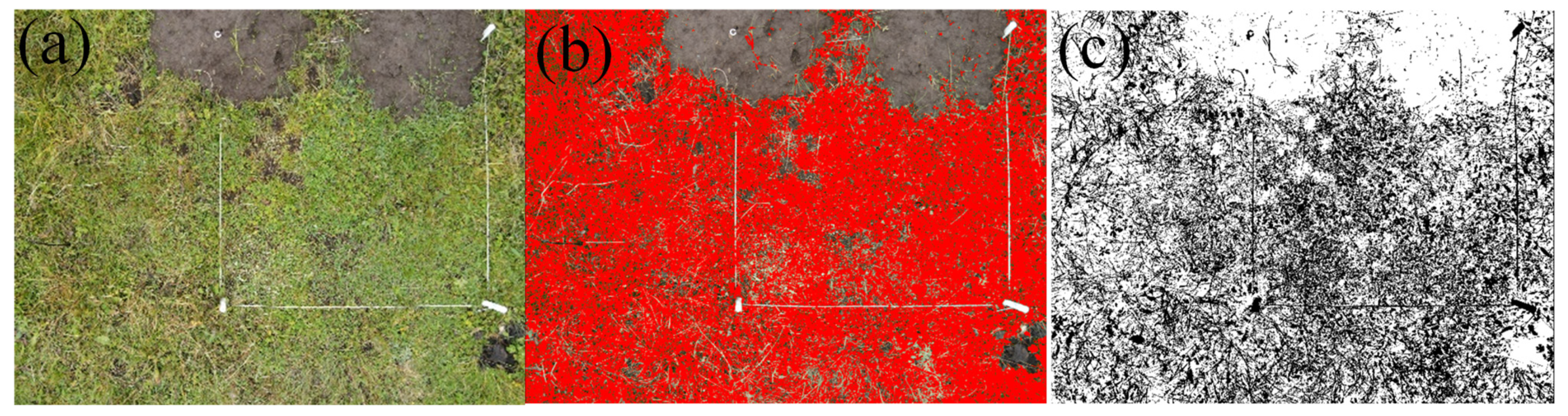 Agronomy 13 02193 g005