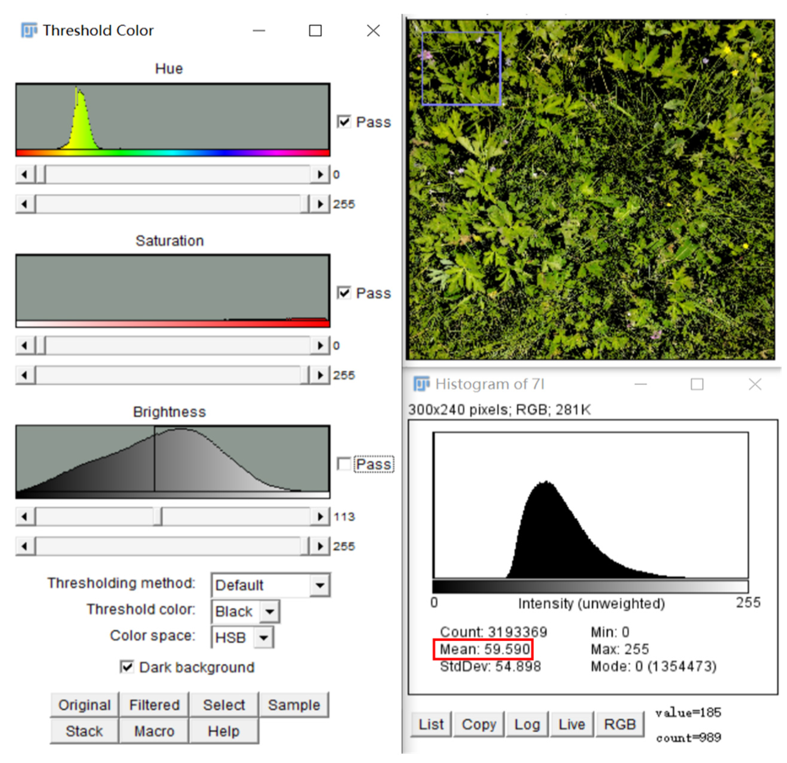 Agronomy 13 02193 g006