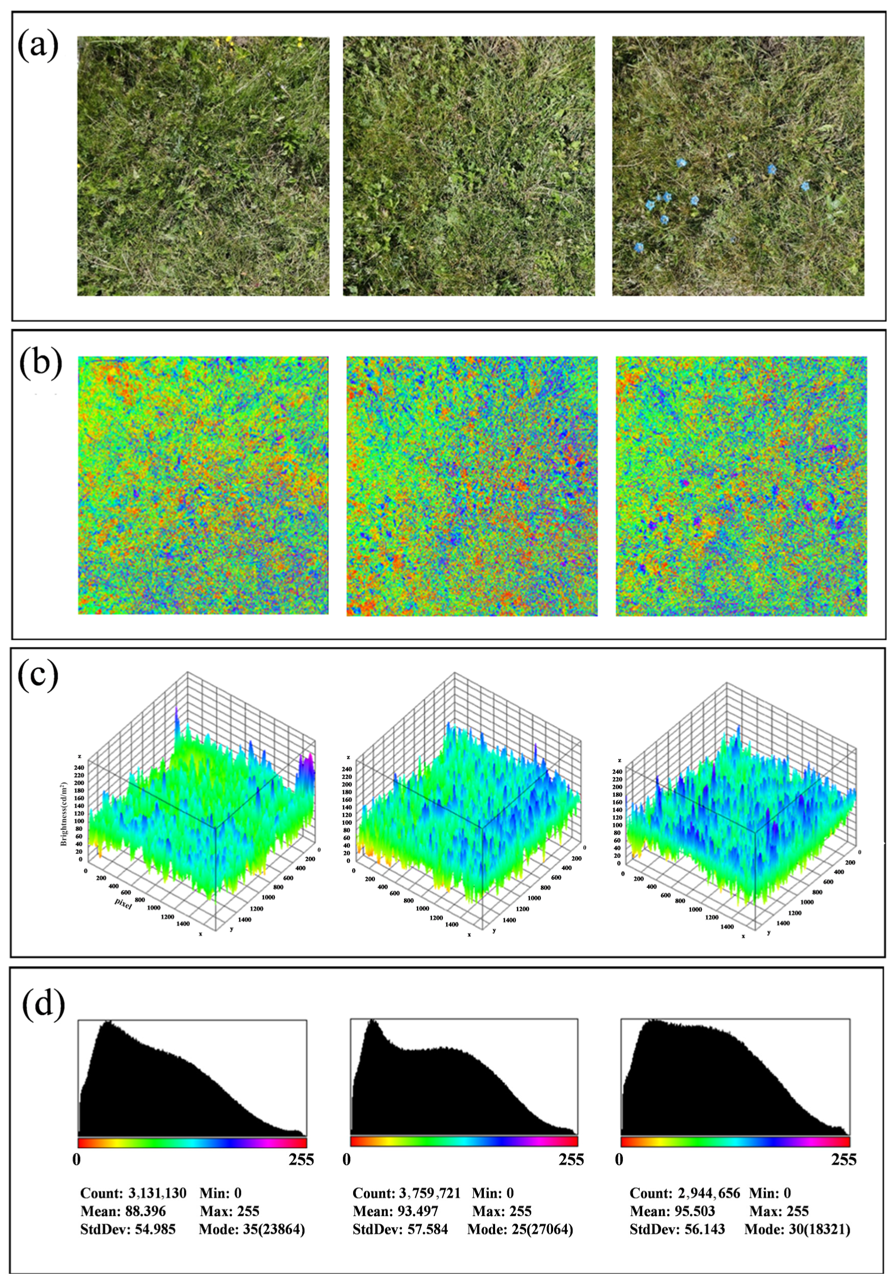 Agronomy 13 02193 g007