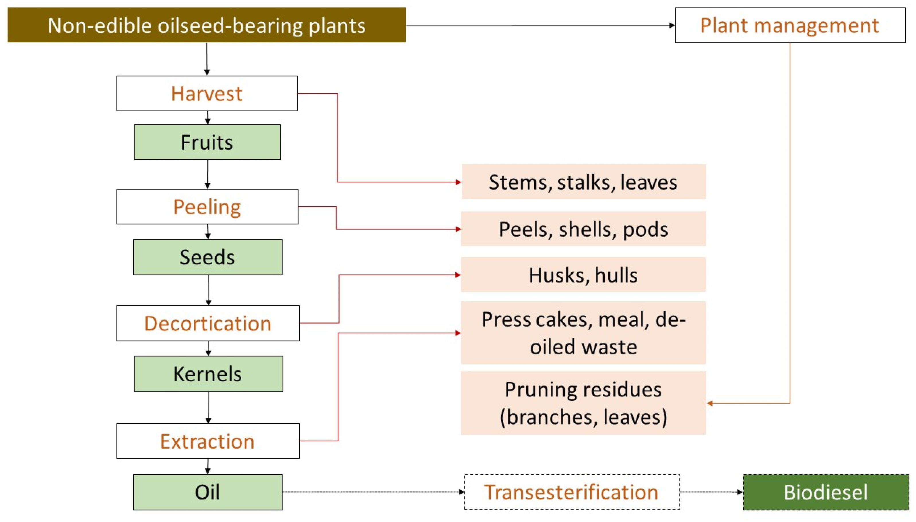 Agronomy 13 02196 g002