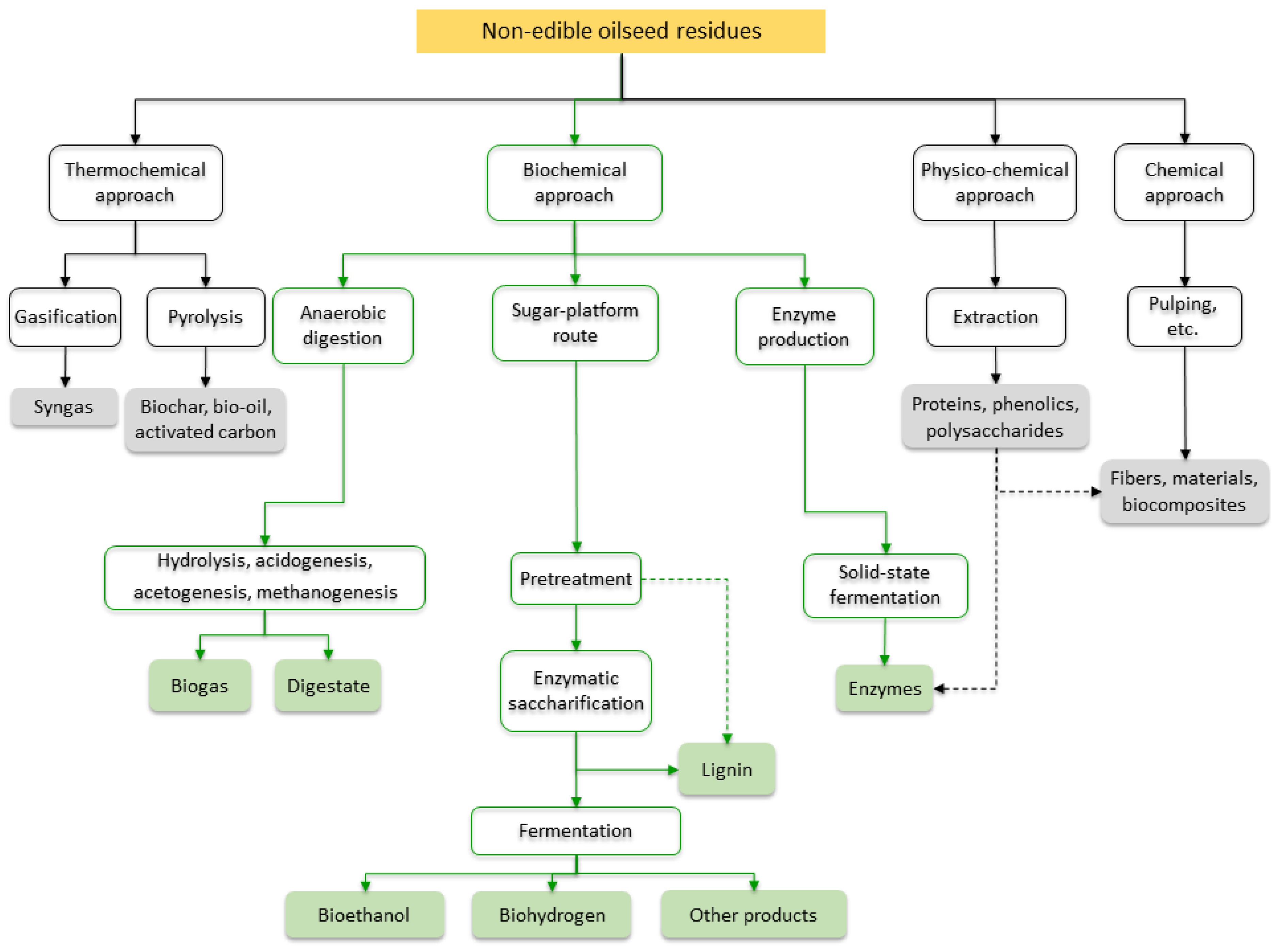 Agronomy 13 02196 g003