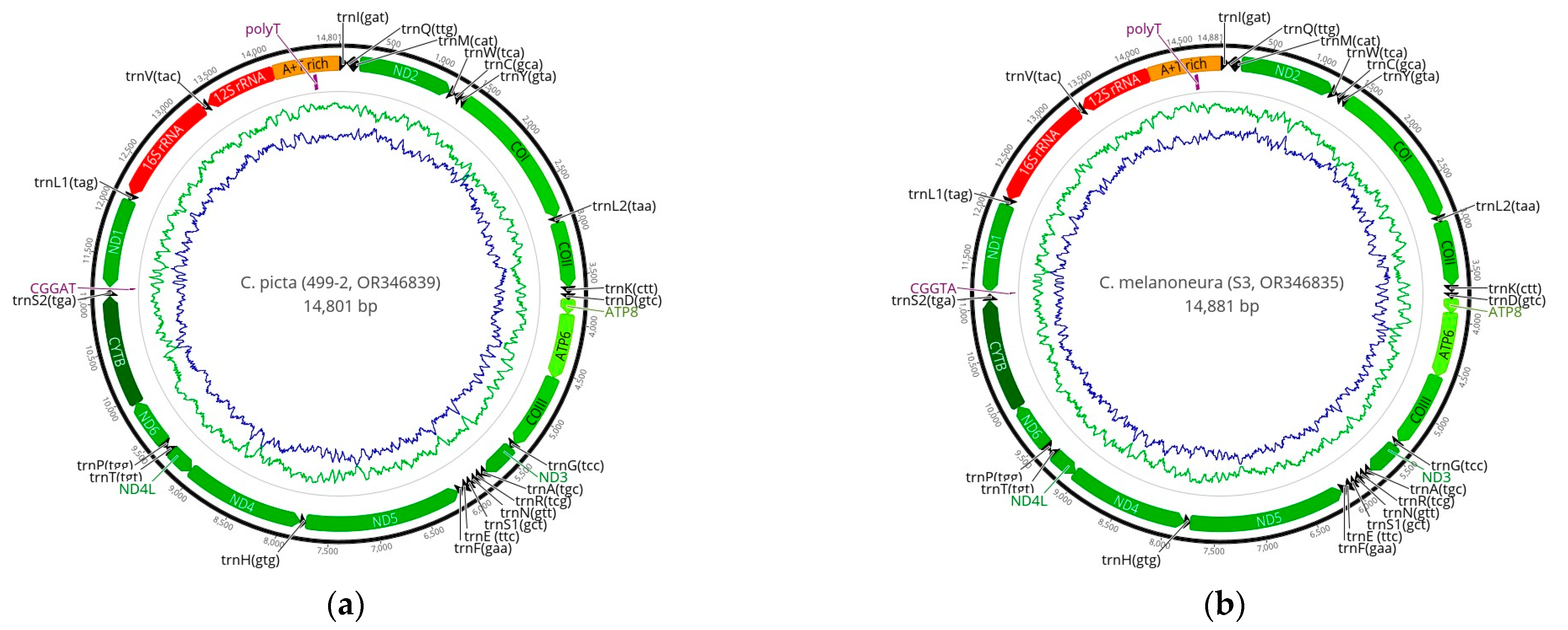 Agronomy 13 02210 g002