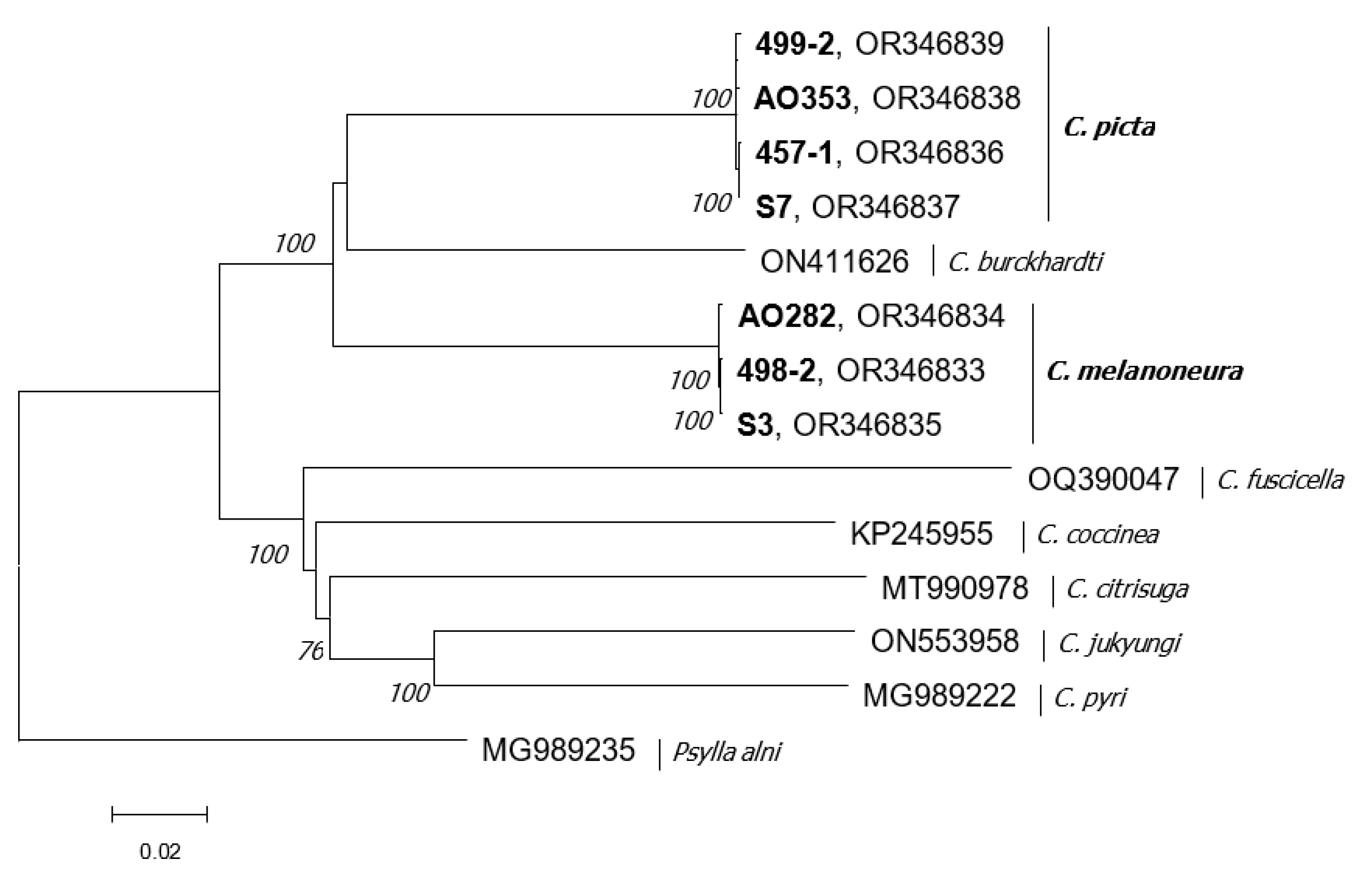 Agronomy 13 02210 g003