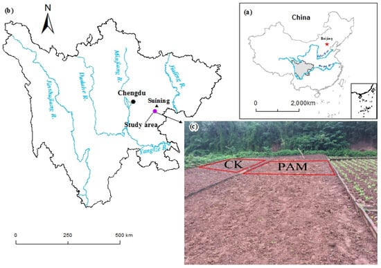 Agronomy 13 02222 g001
