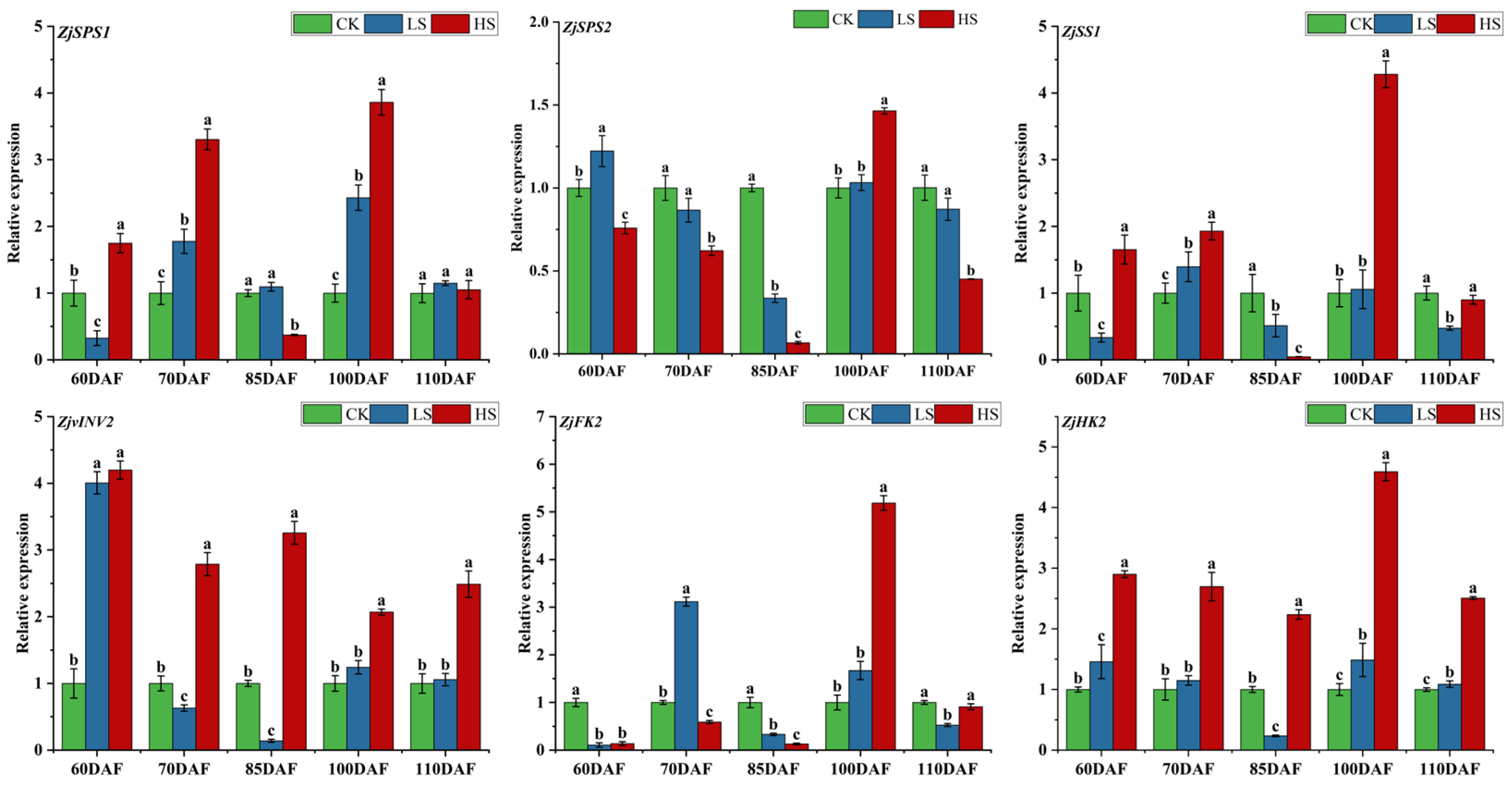 Agronomy 13 02239 g005