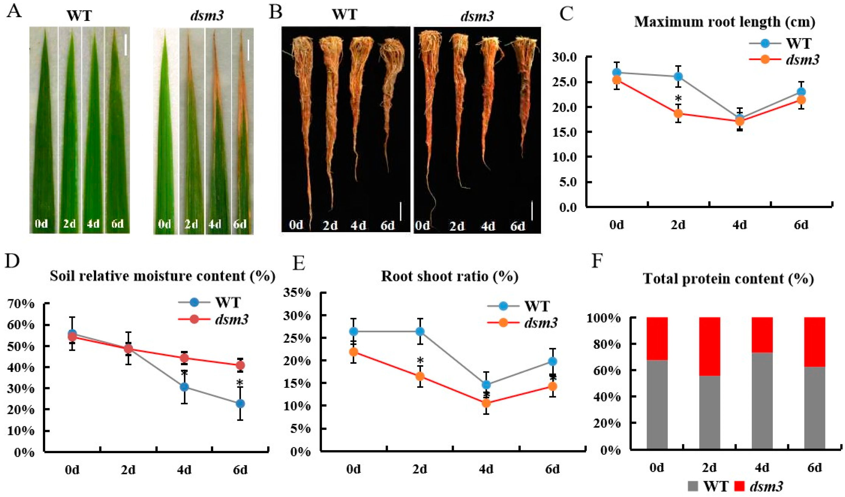Agronomy 13 02241 g002a Agronomy 13 02241 g002a