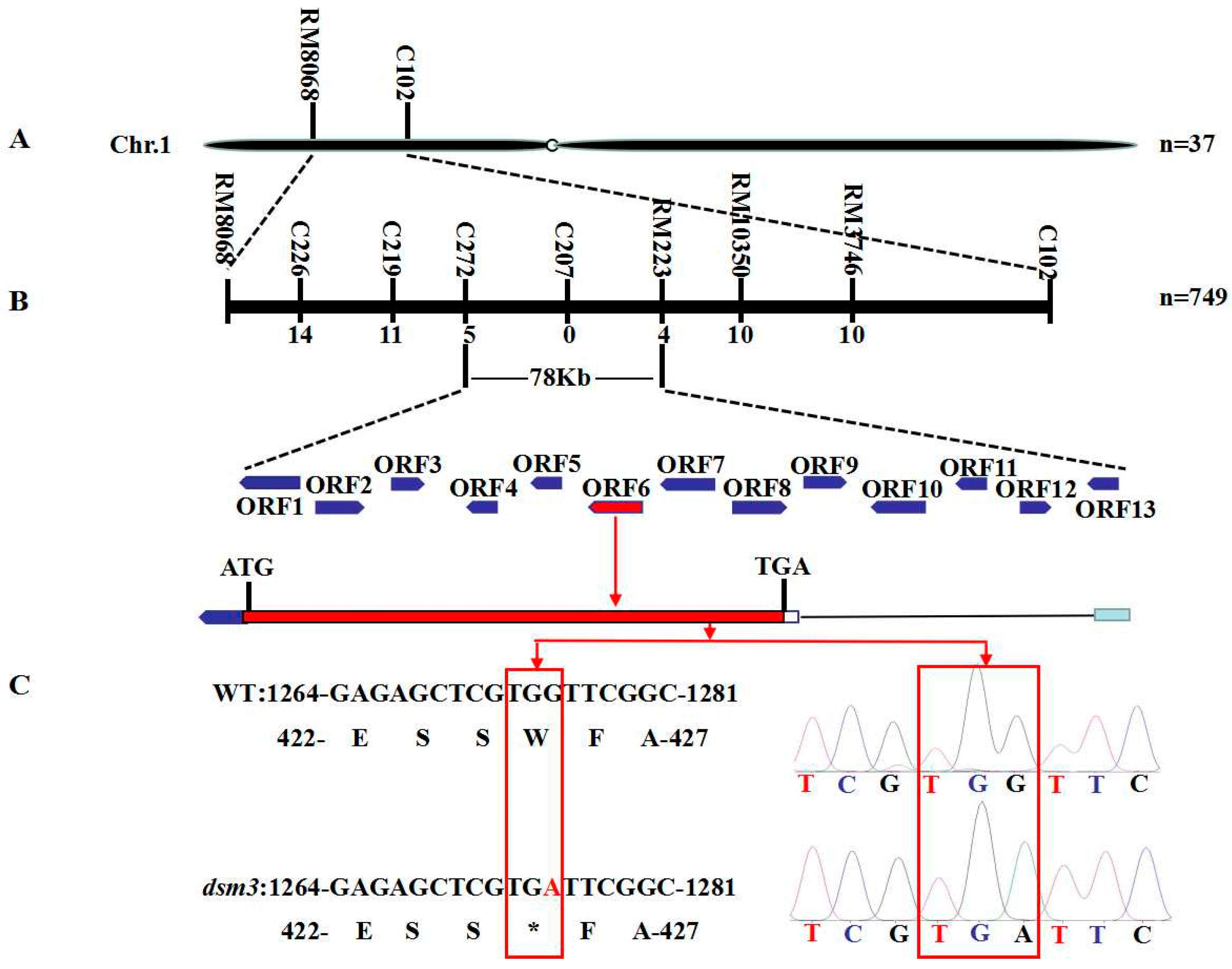 Agronomy 13 02241 g005 Agronomy 13 02241 g005
