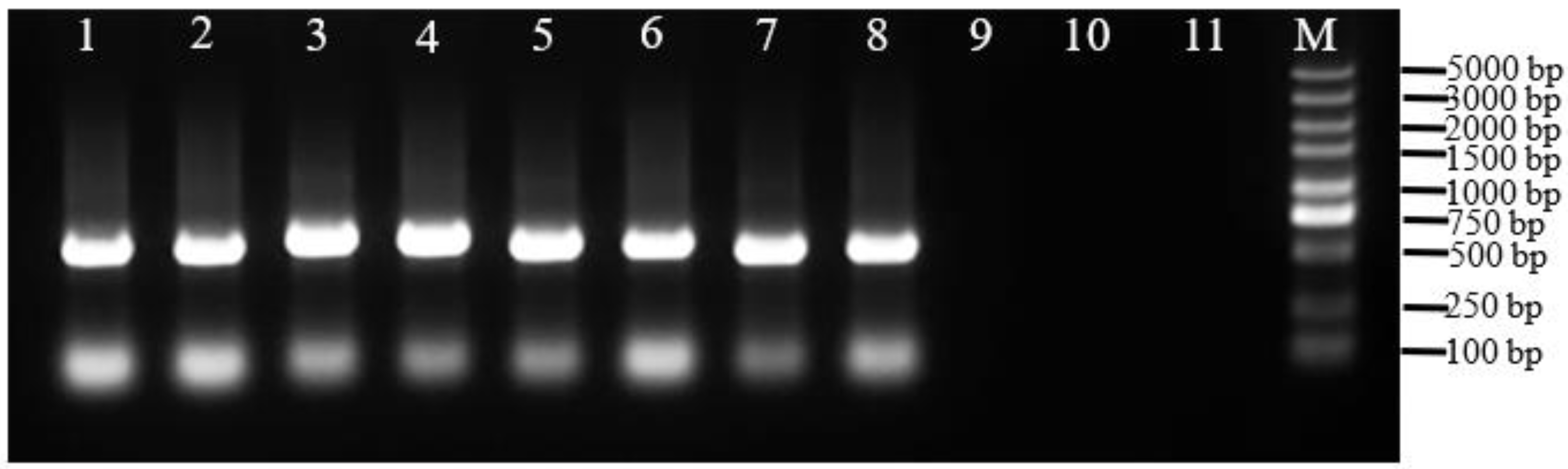 Agronomy 13 02244 g002