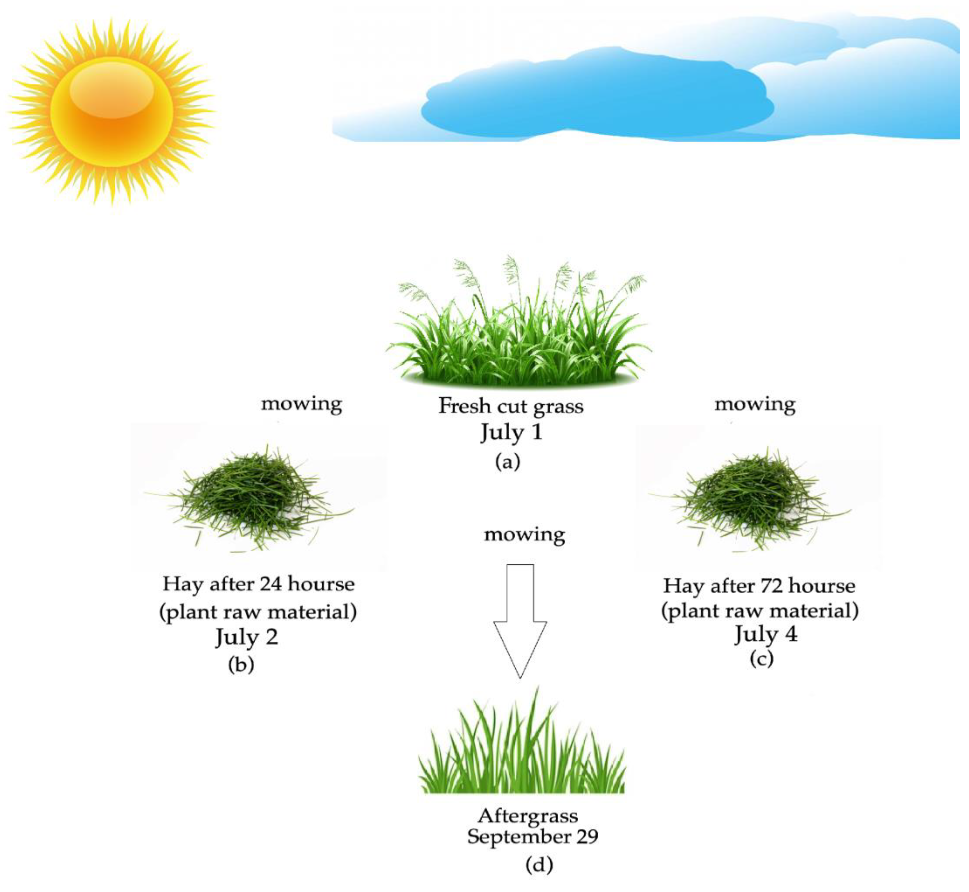 Agronomy 13 02252 g001 Agronomy 13 02252 g001
