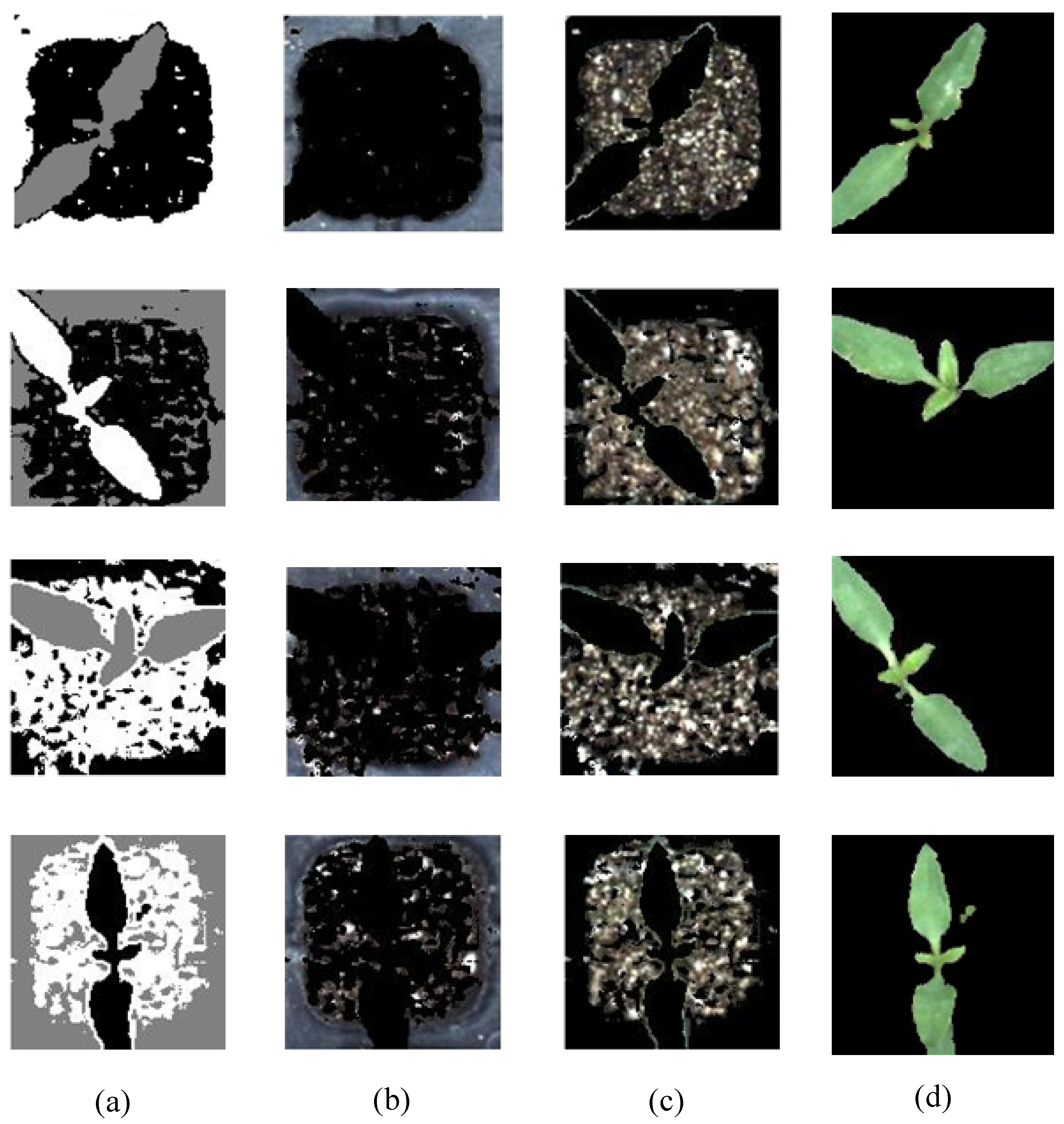 Agronomy 13 02253 g006