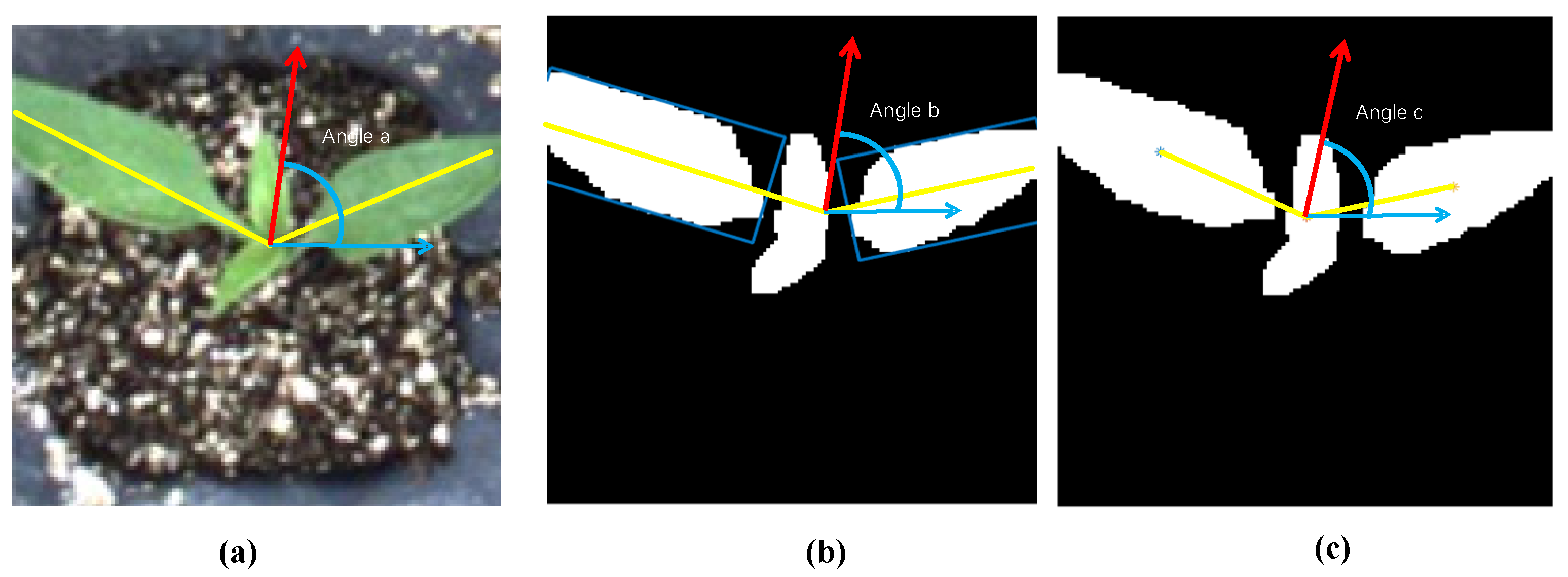 Agronomy 13 02253 g015