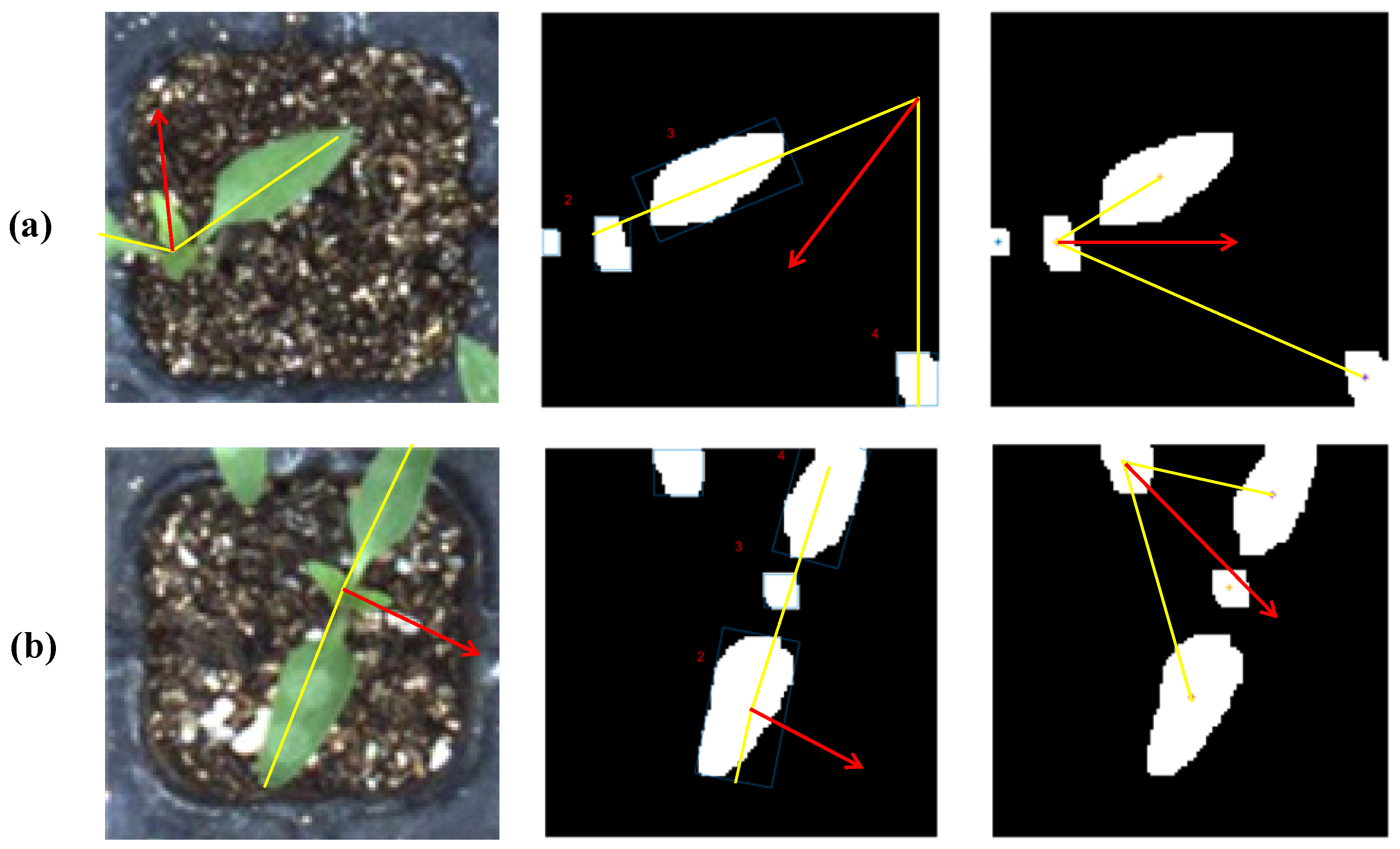 Agronomy 13 02253 g016