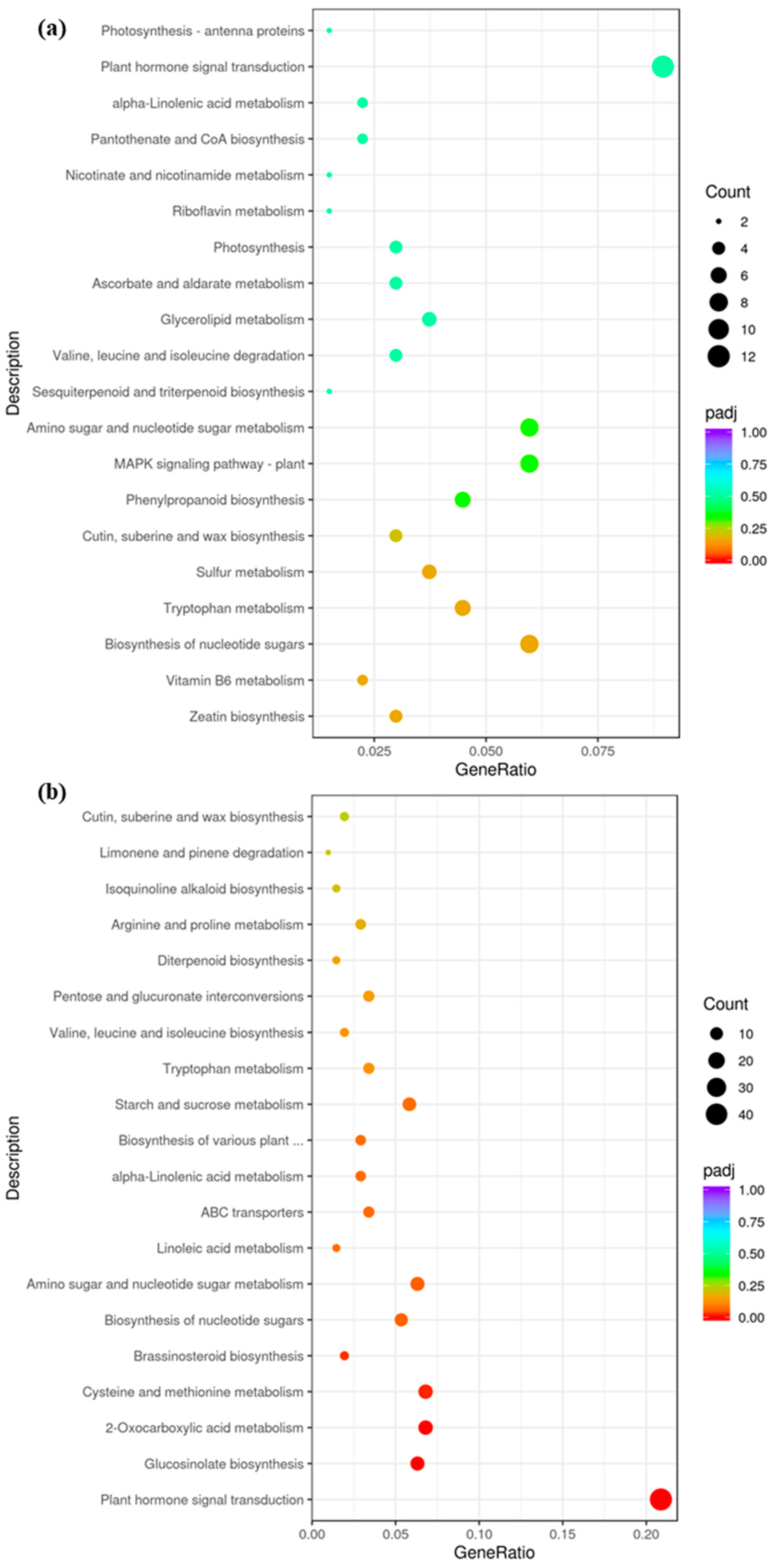 Agronomy 13 02273 g003