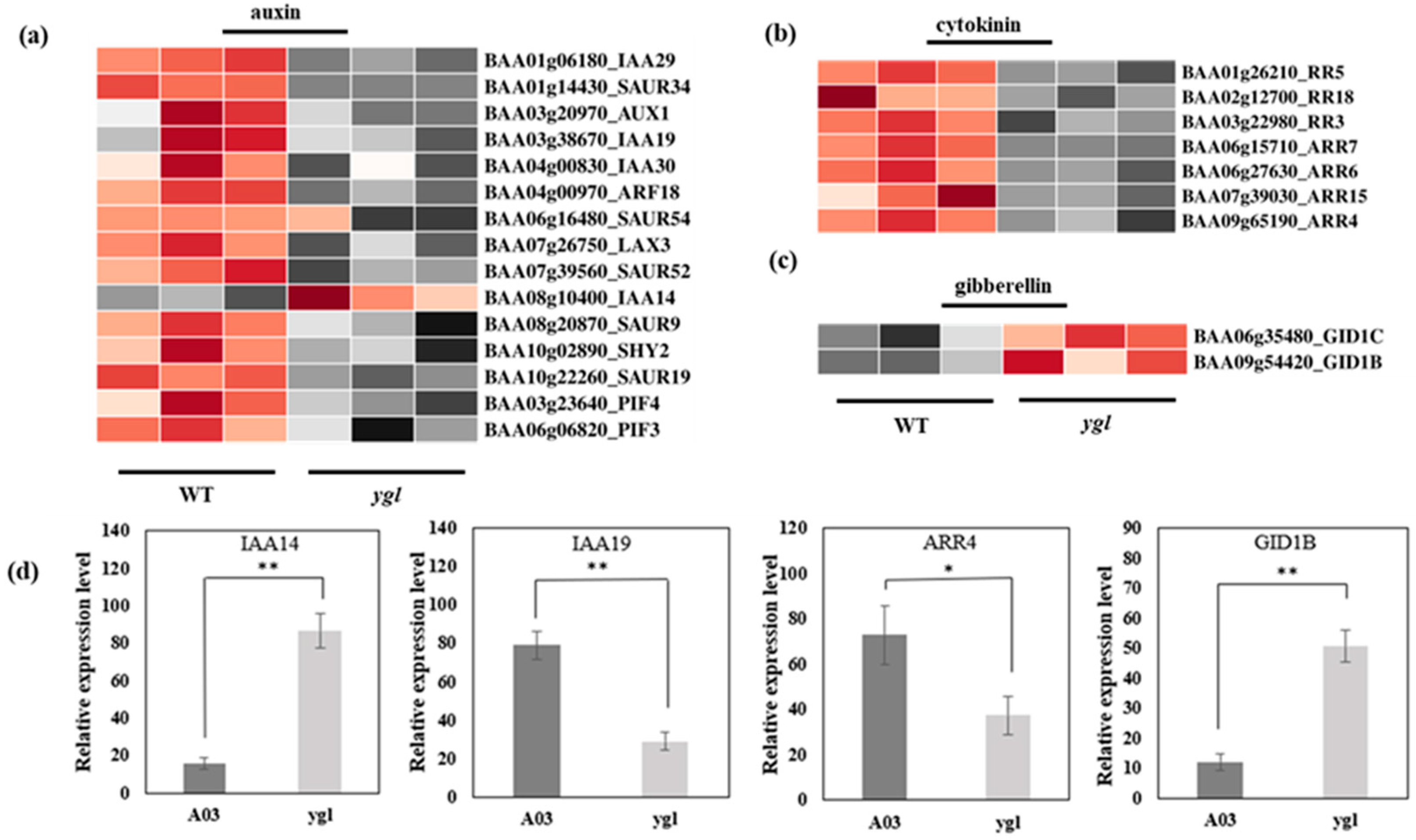 Agronomy 13 02273 g005