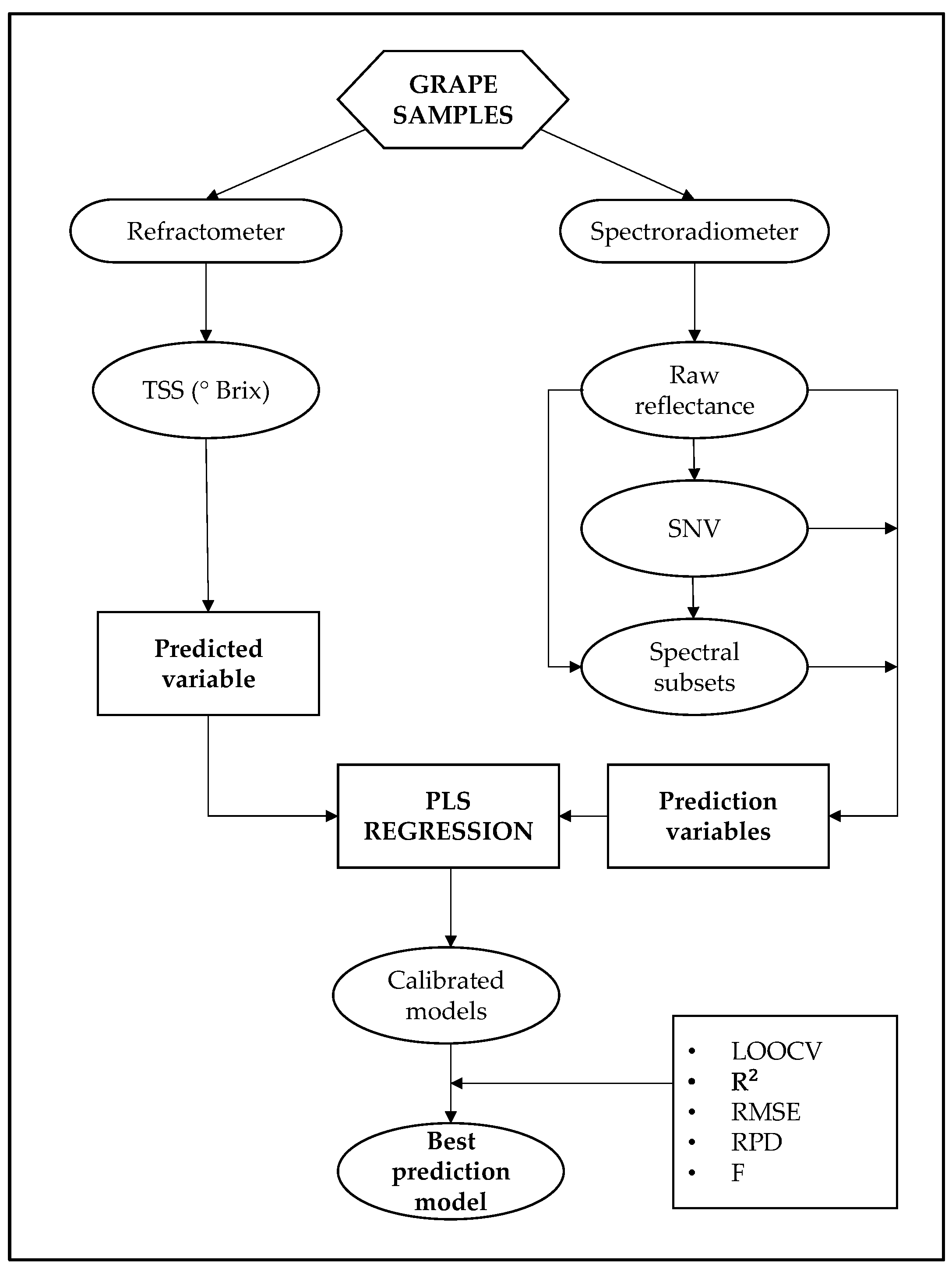 Agronomy 13 02275 g001