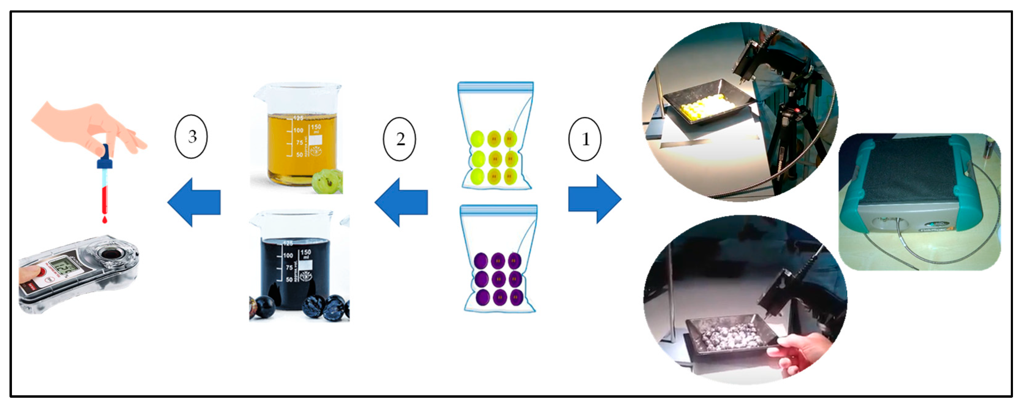 Agronomy 13 02275 g002