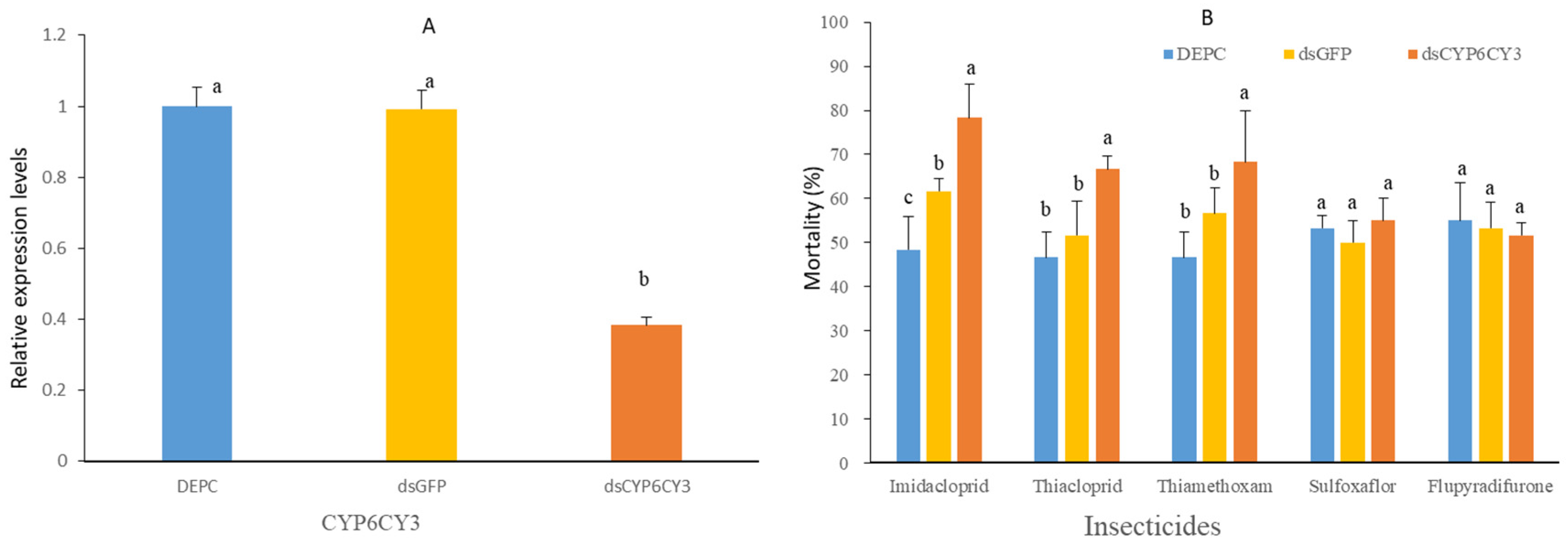 Agronomy 13 02276 g005