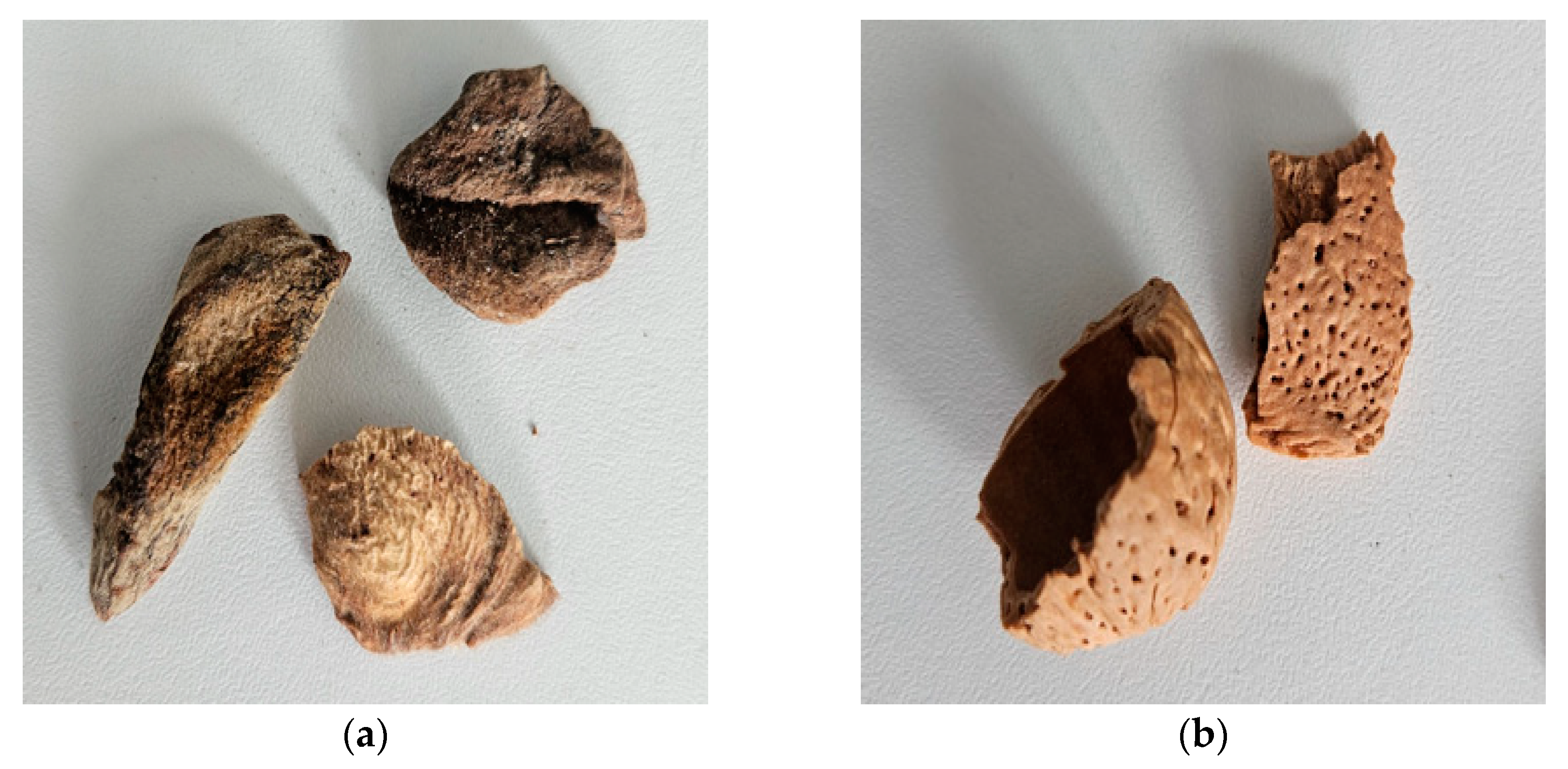 Agronomy 13 02278 g001