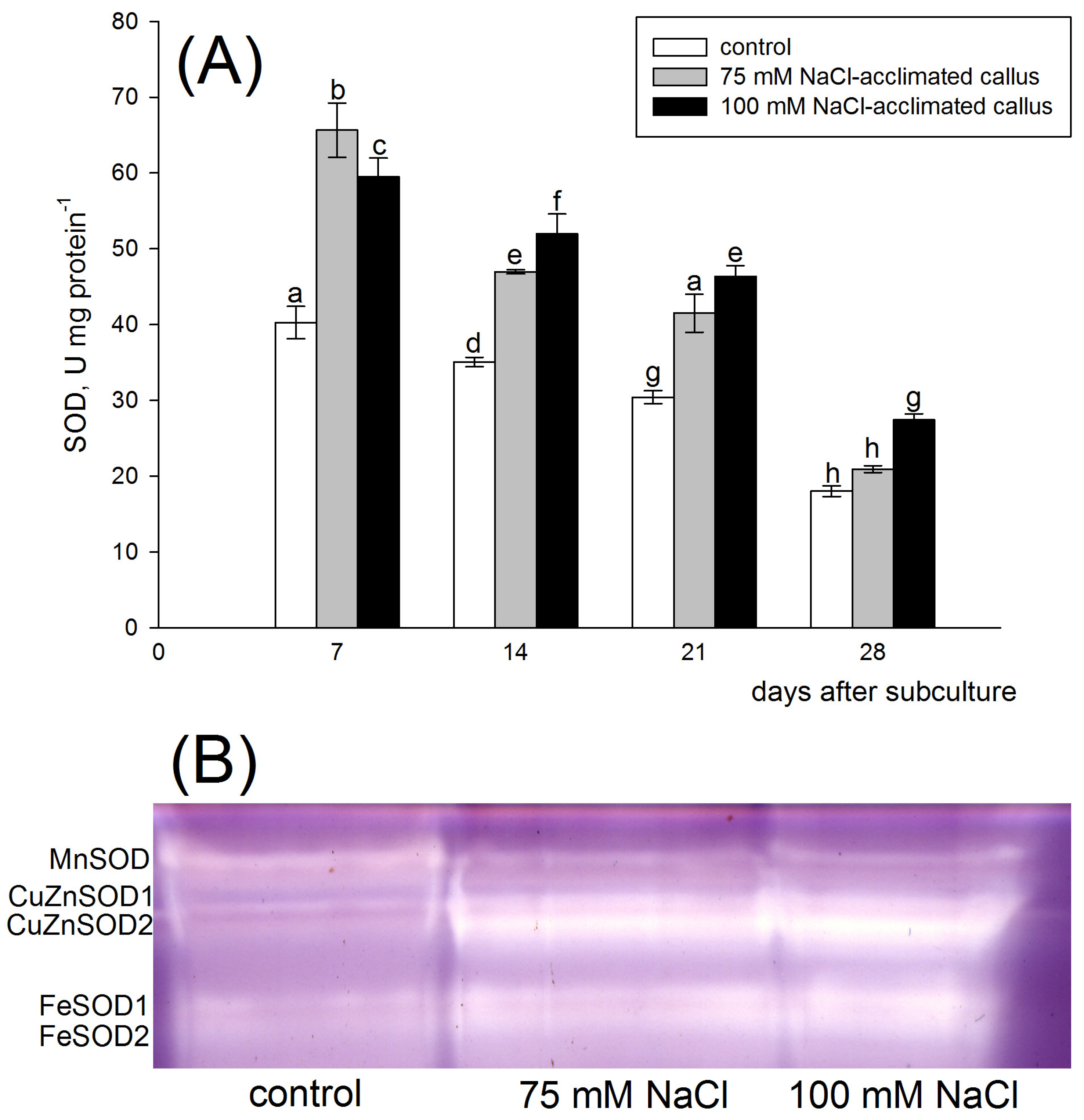 Agronomy 13 02284 g004