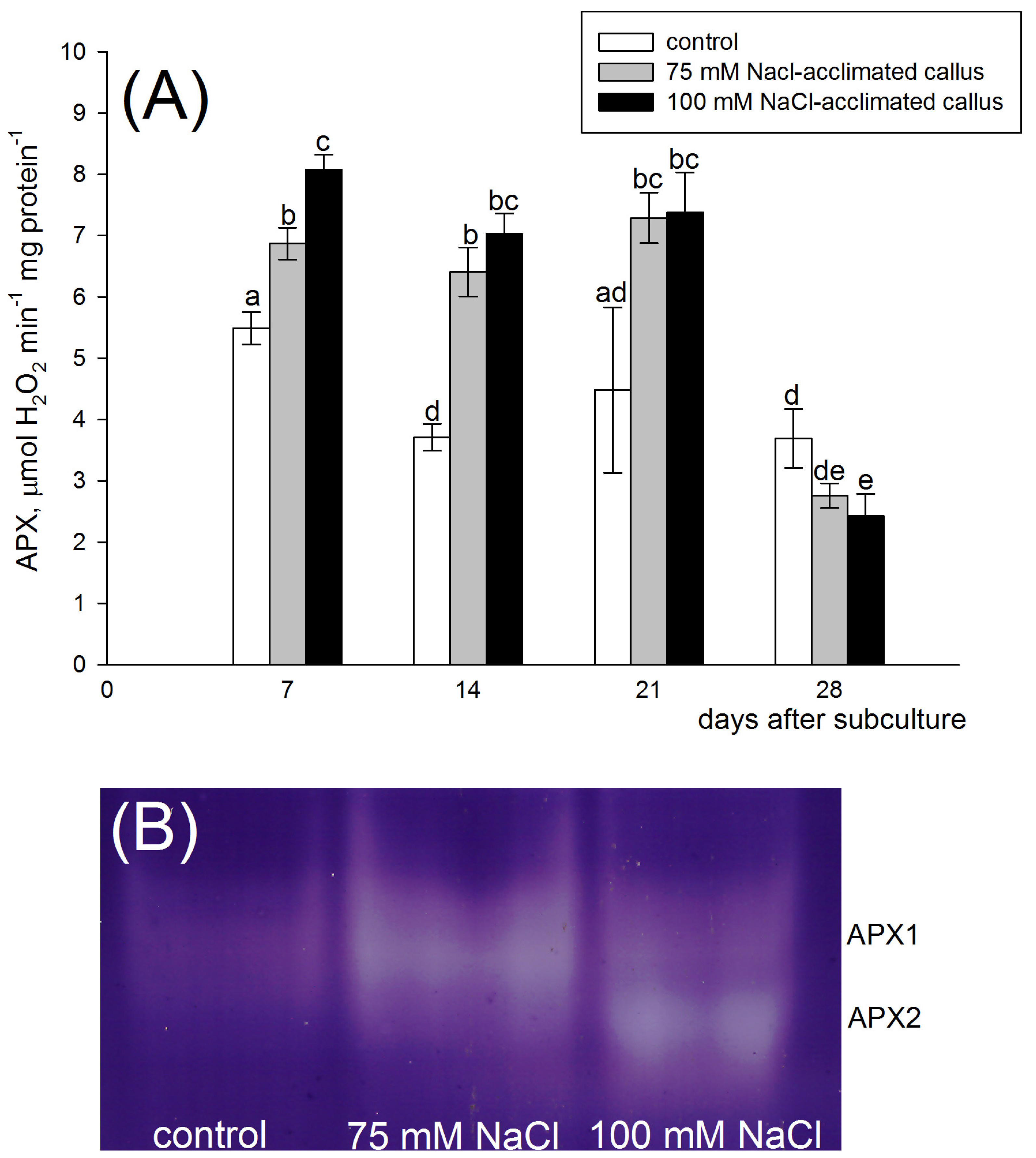 Agronomy 13 02284 g006