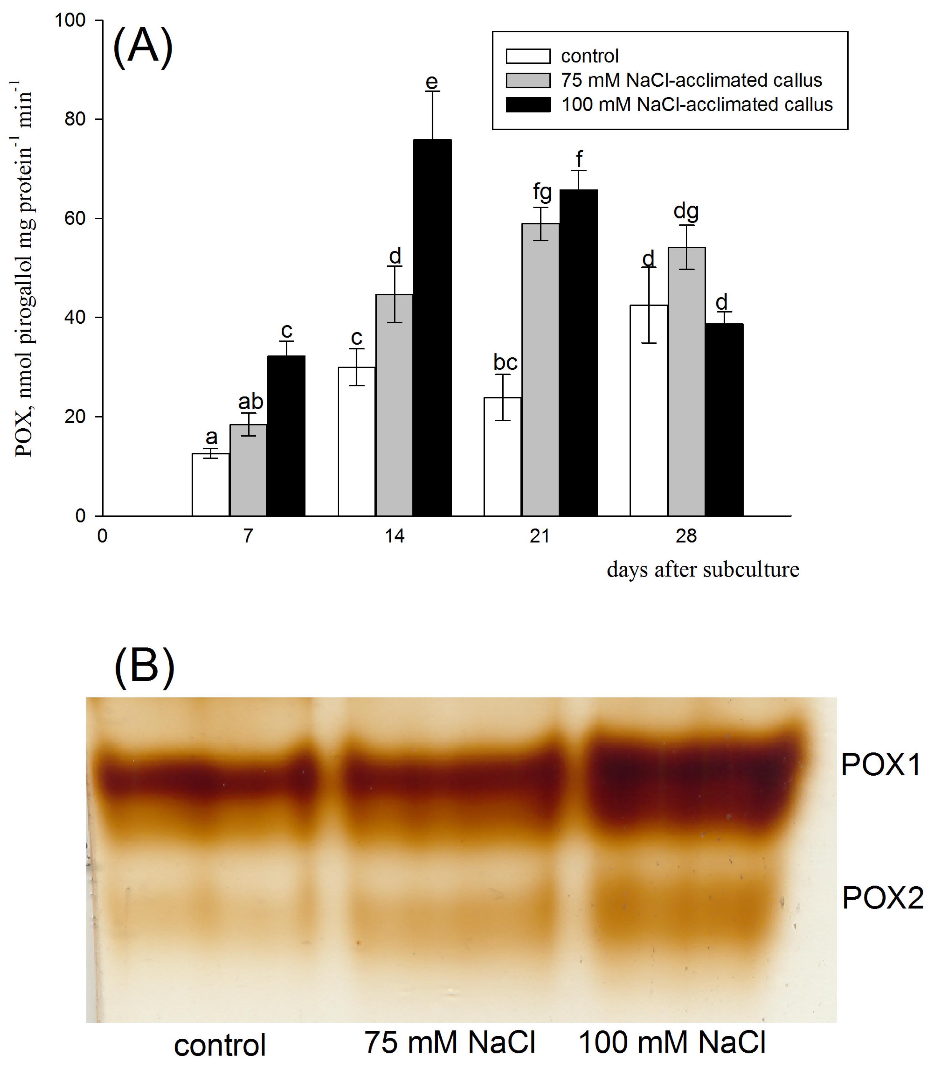 Agronomy 13 02284 g007