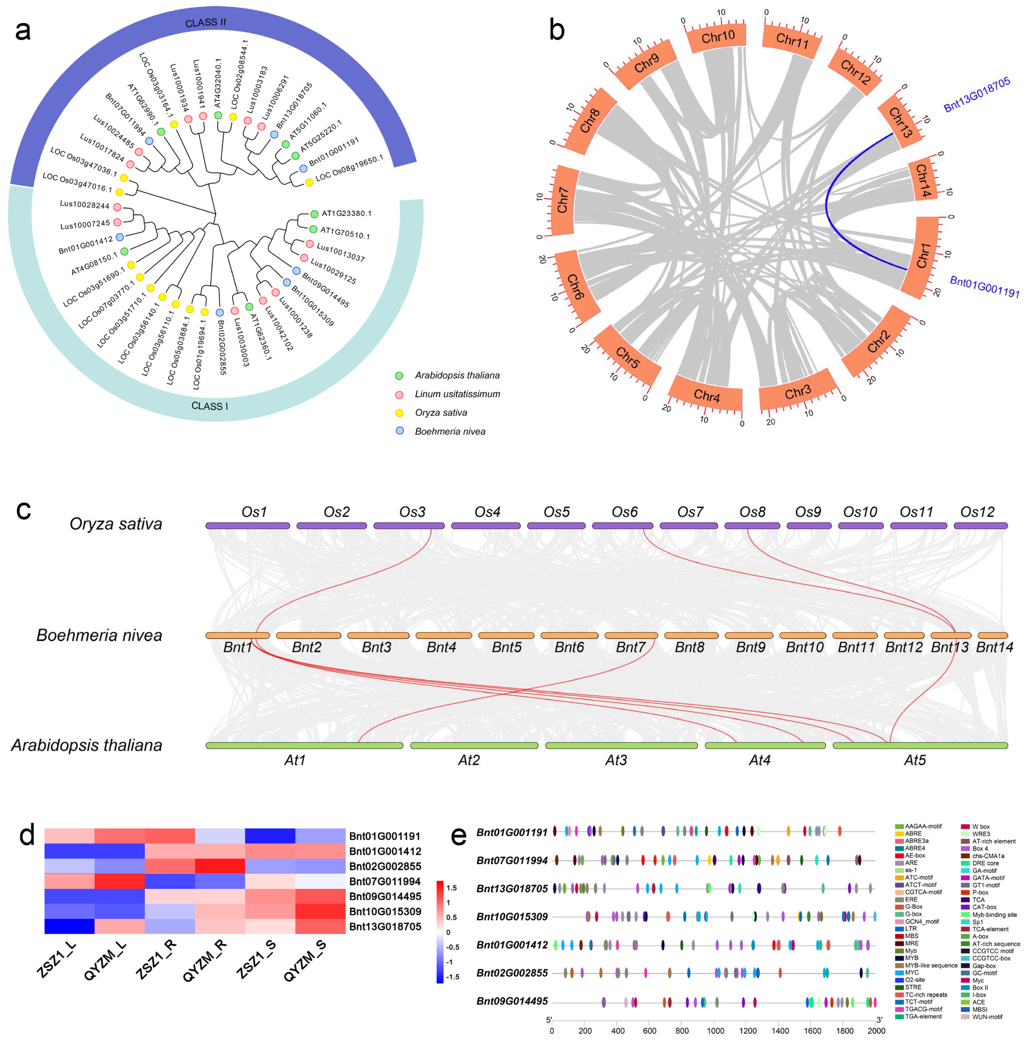 Agronomy 13 02297 g002
