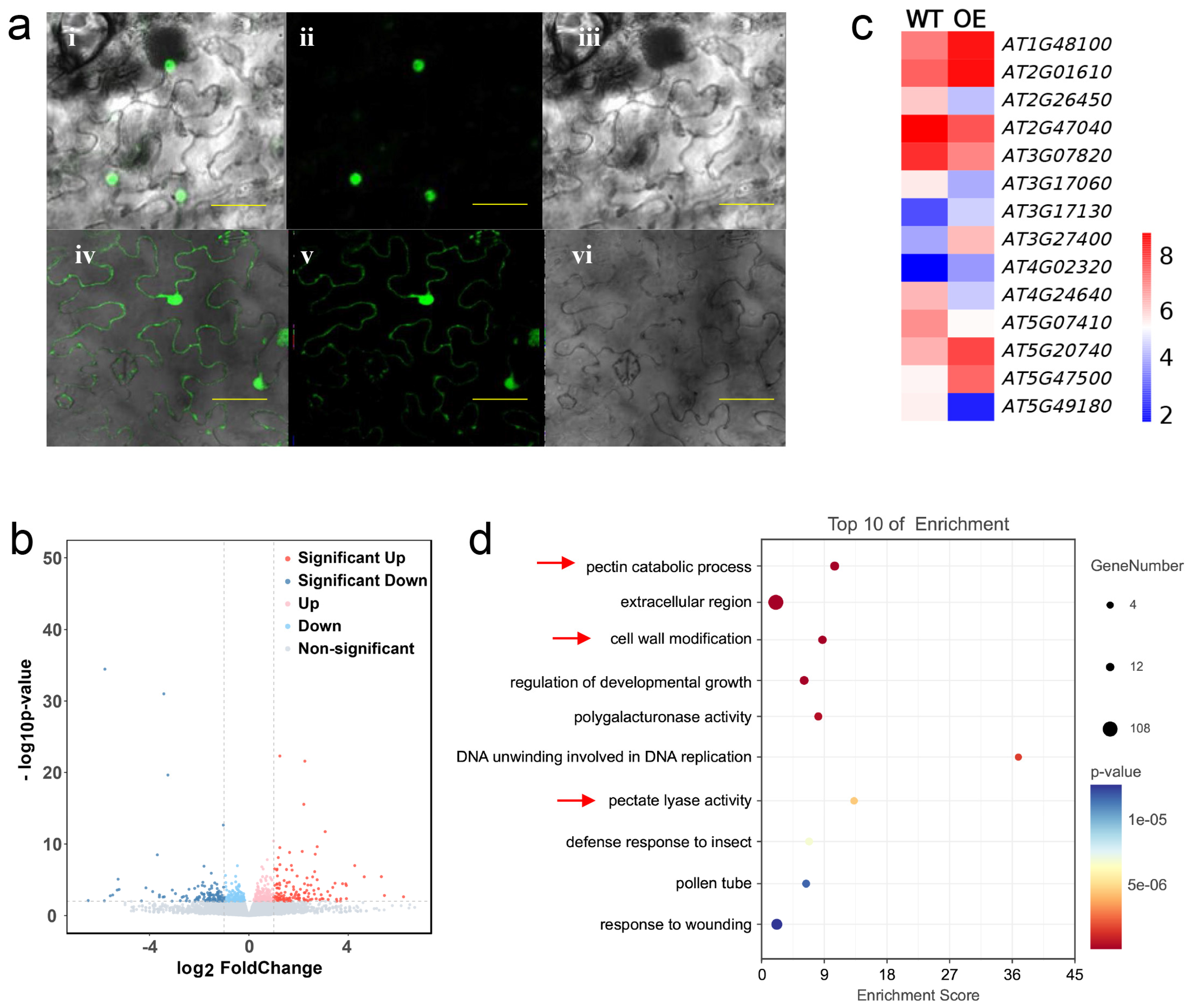Agronomy 13 02297 g004