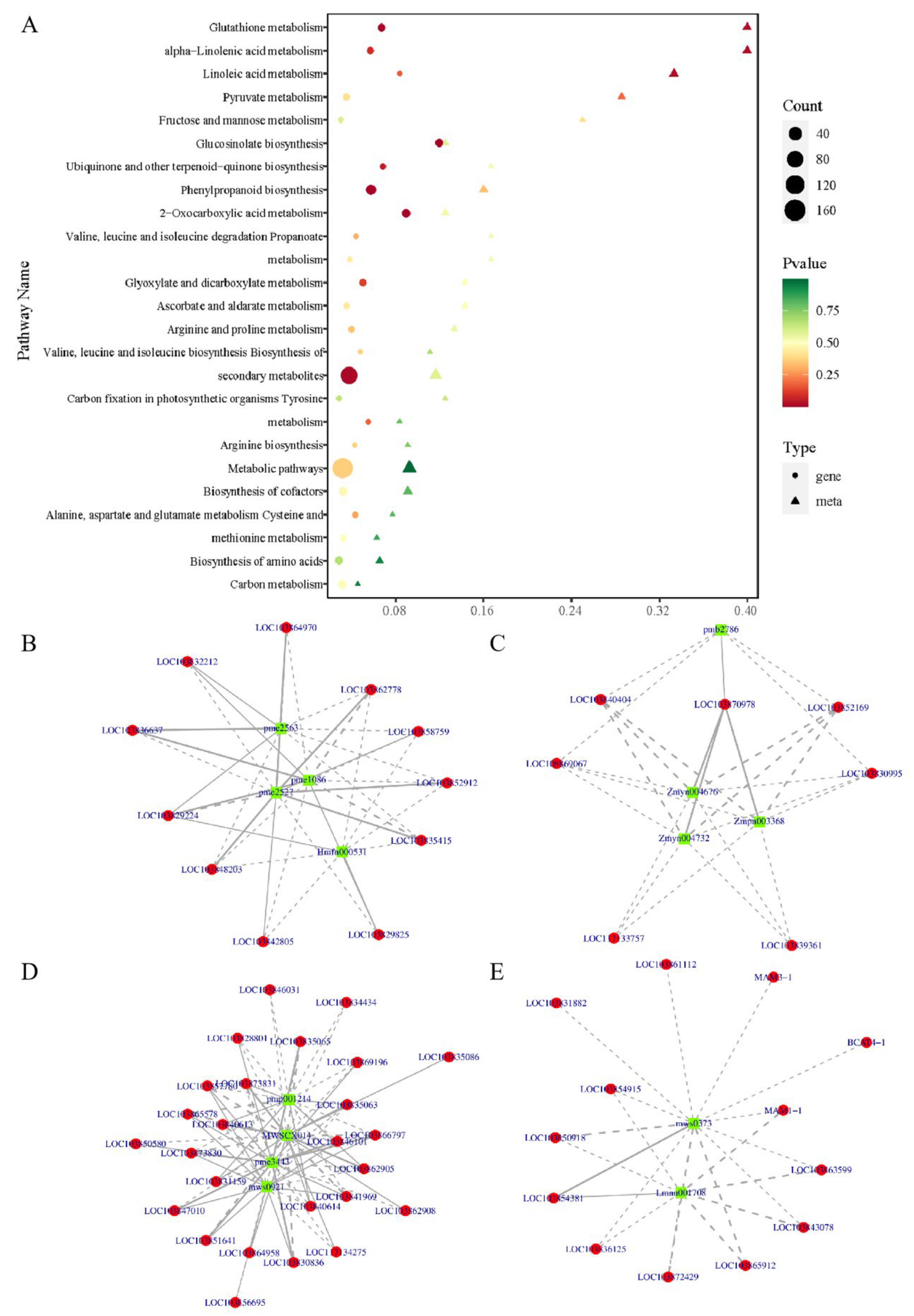 Agronomy 13 02310 g006
