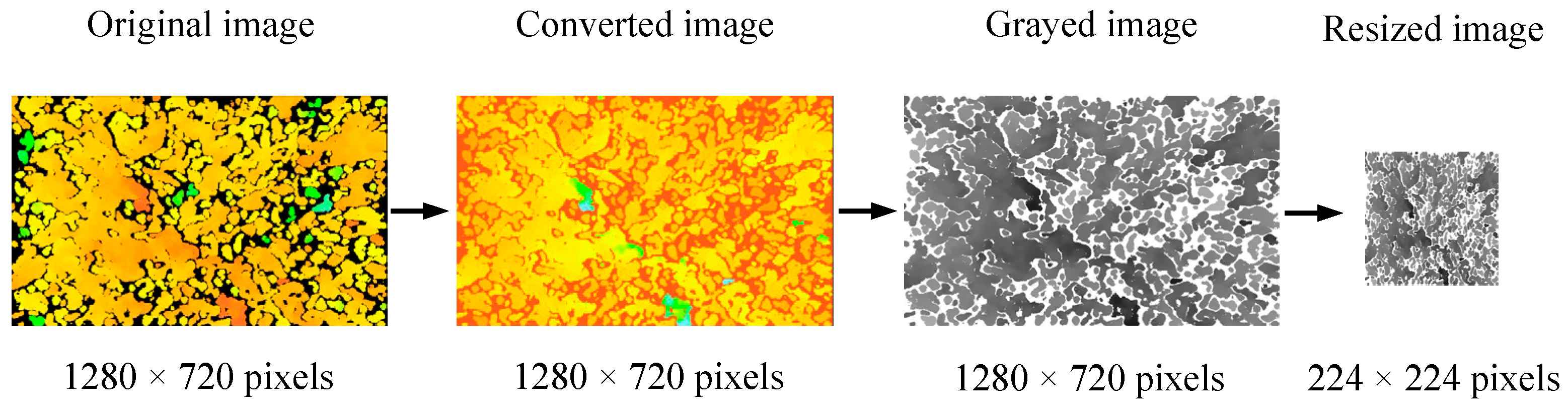 Agronomy 13 02312 g004