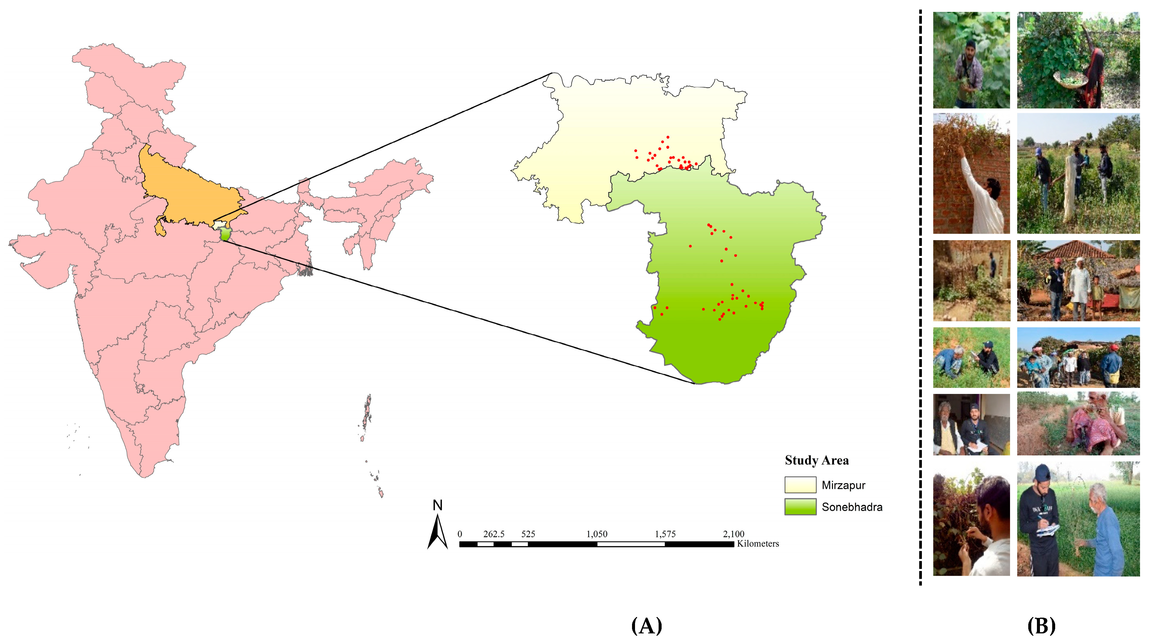 Agronomy 13 02318 g001