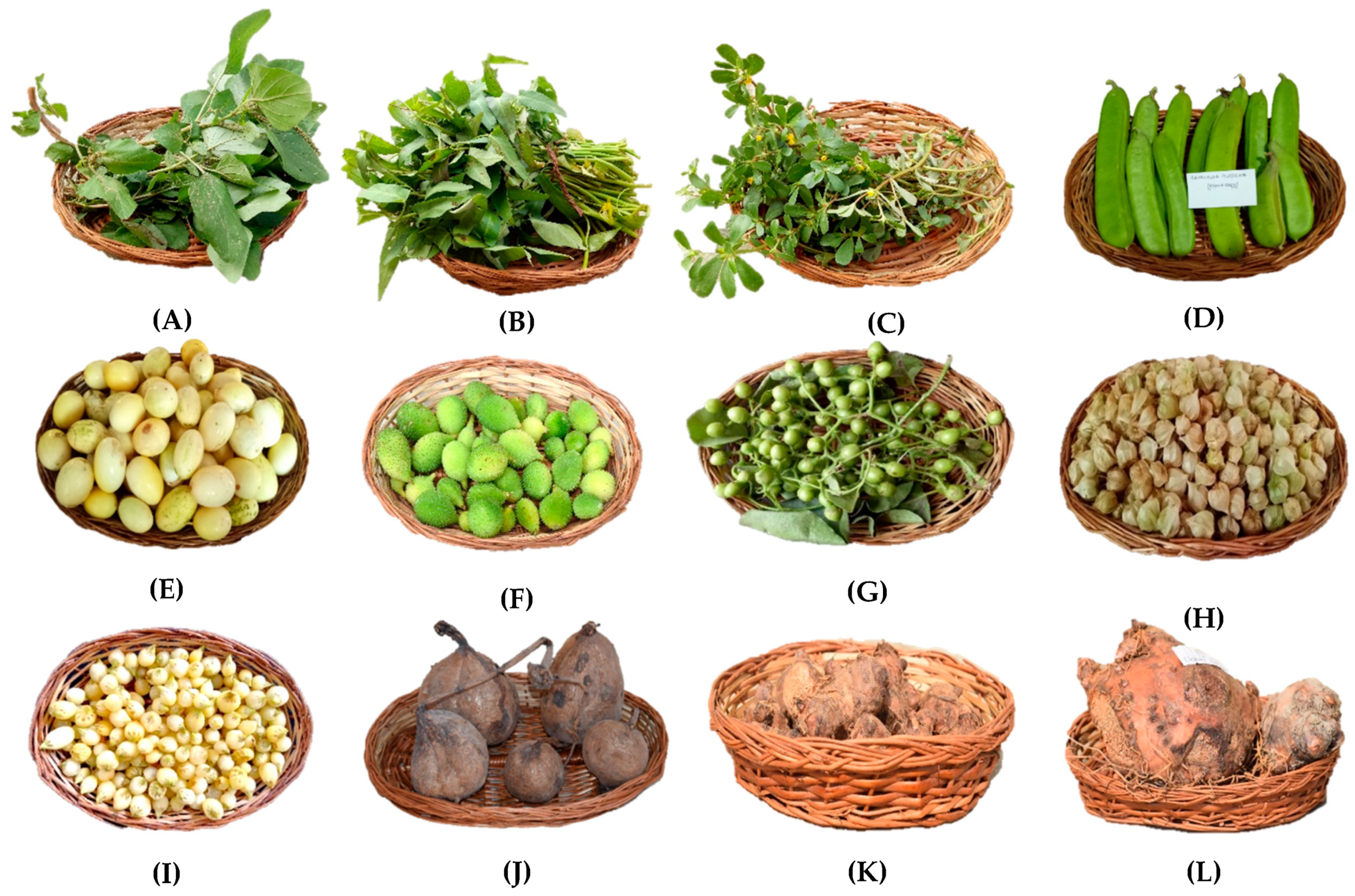 Agronomy 13 02318 g004