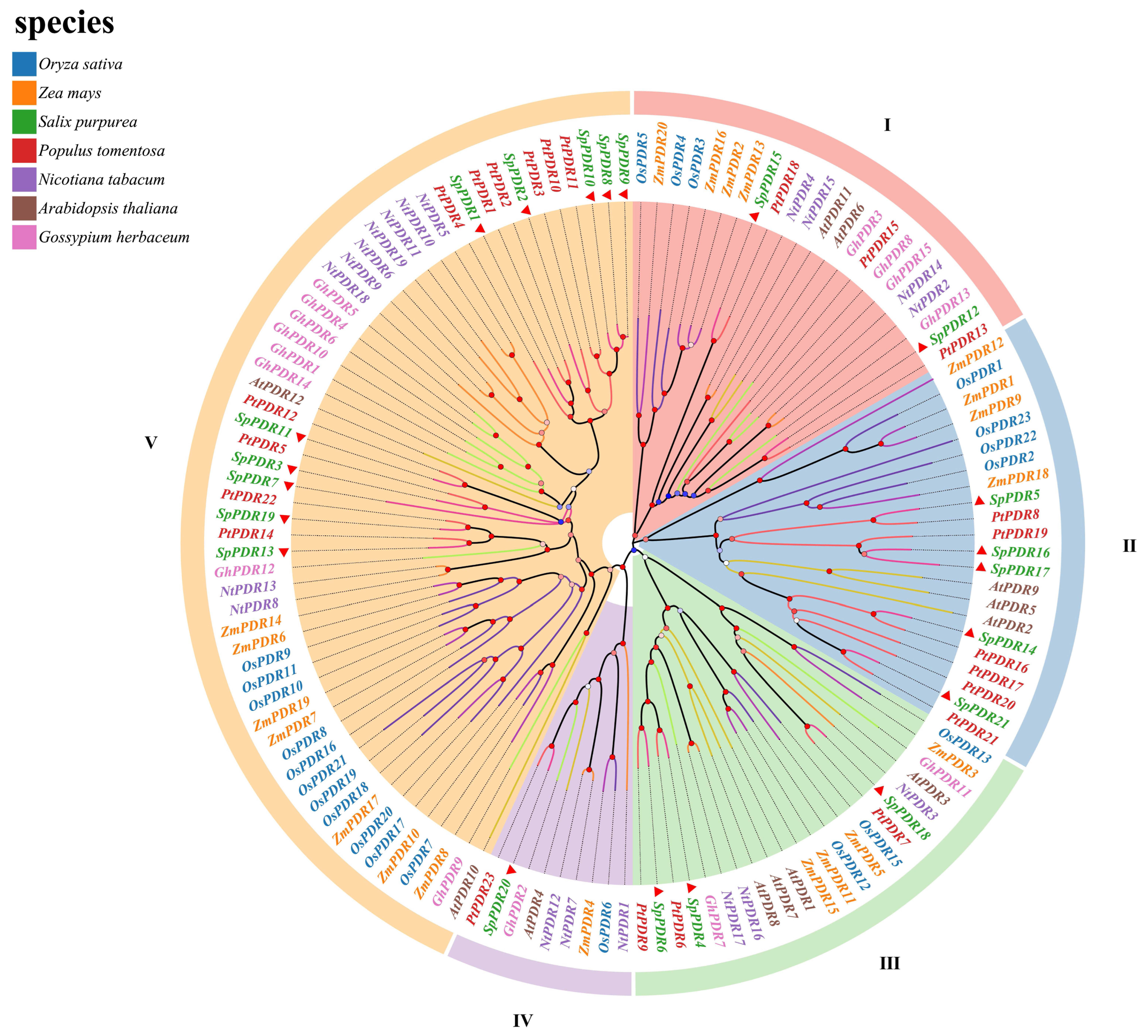Agronomy 13 02330 g001