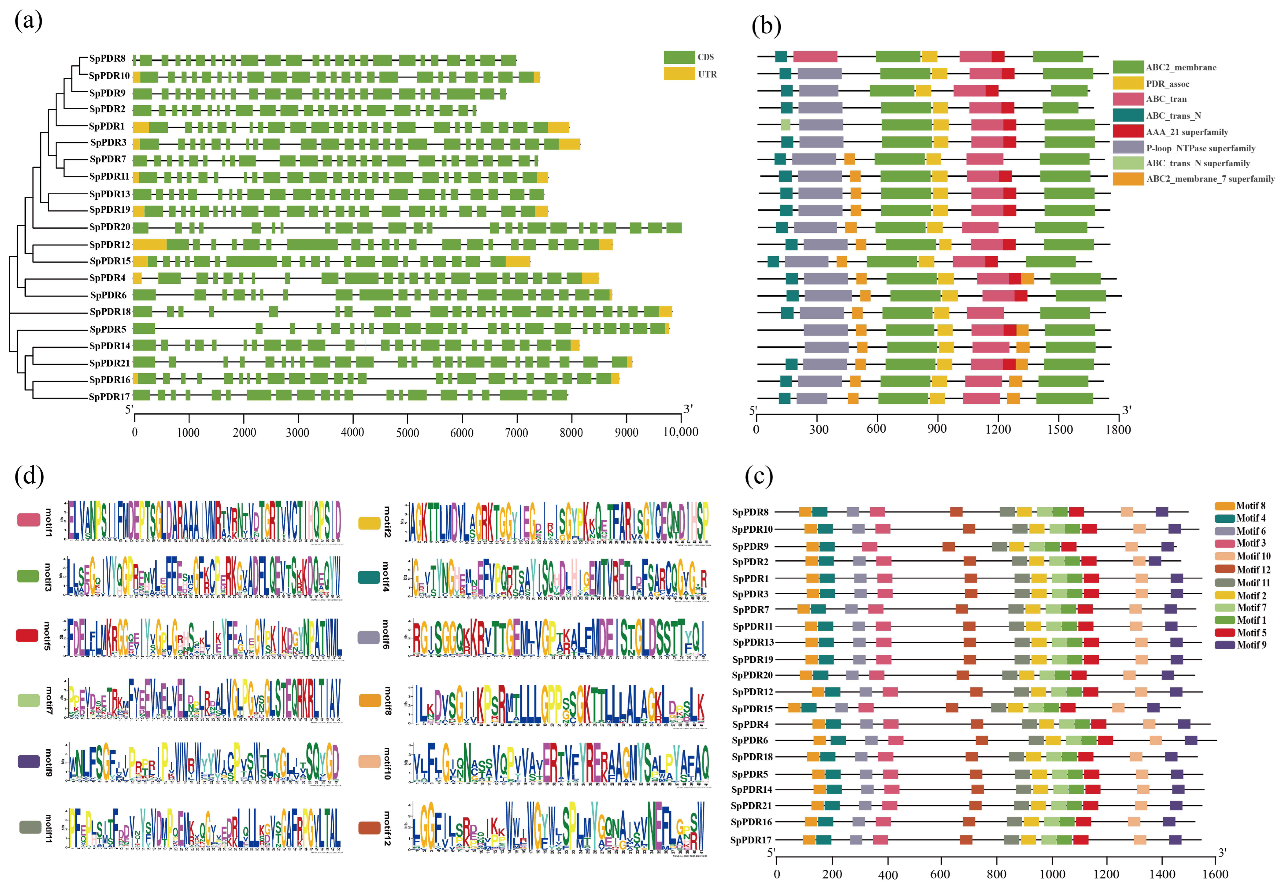 Agronomy 13 02330 g002