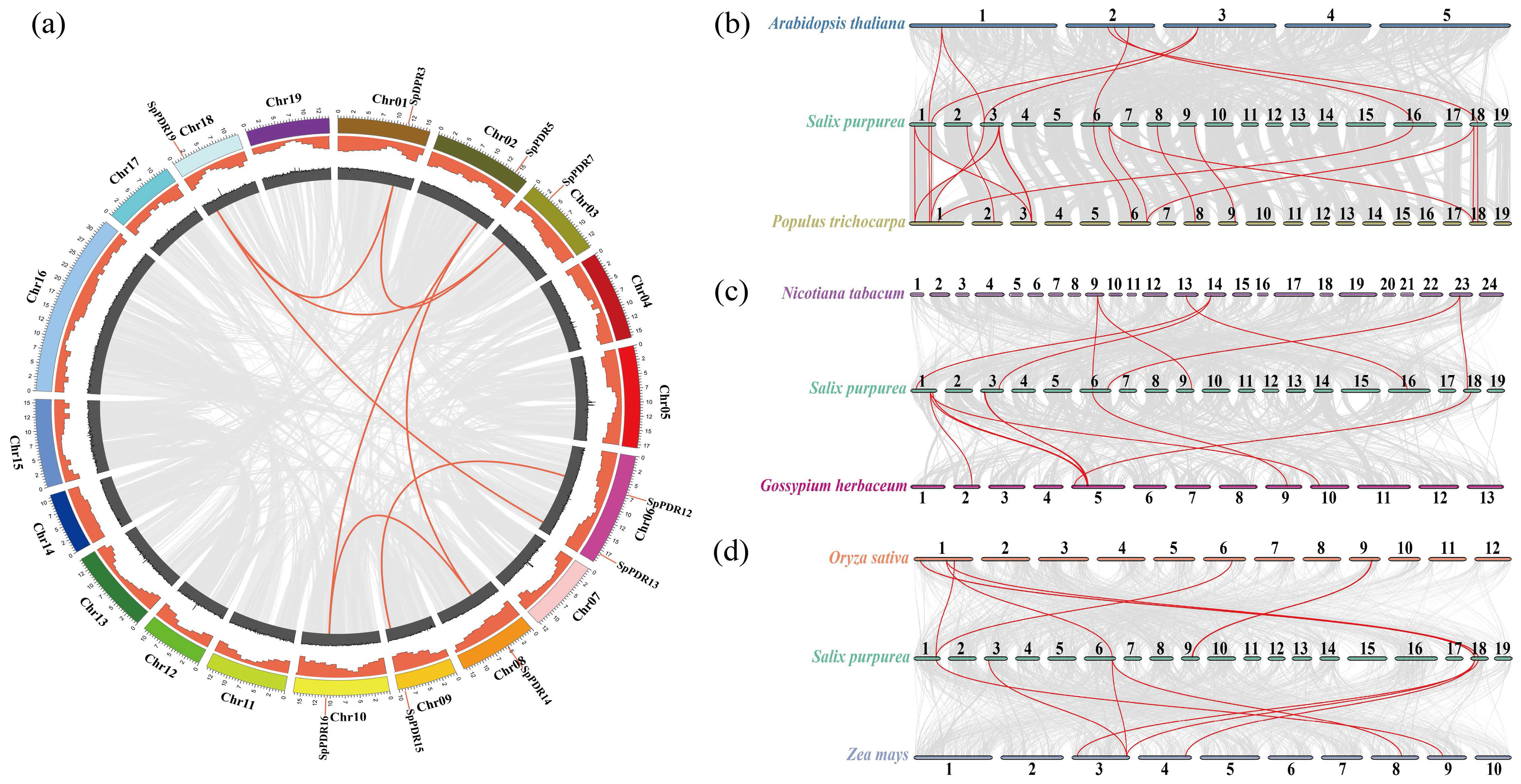 Agronomy 13 02330 g005