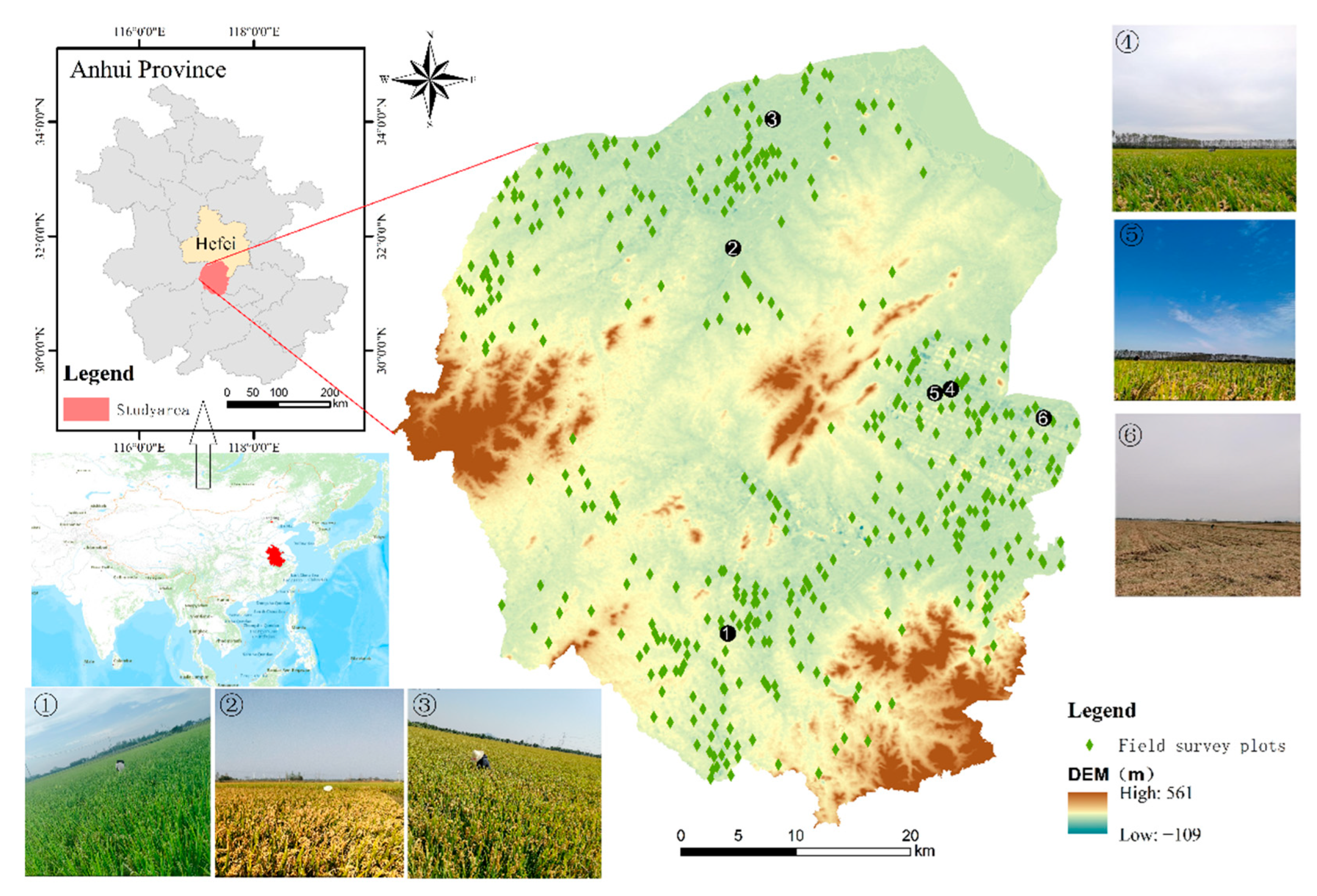 Agronomy 13 02350 g001